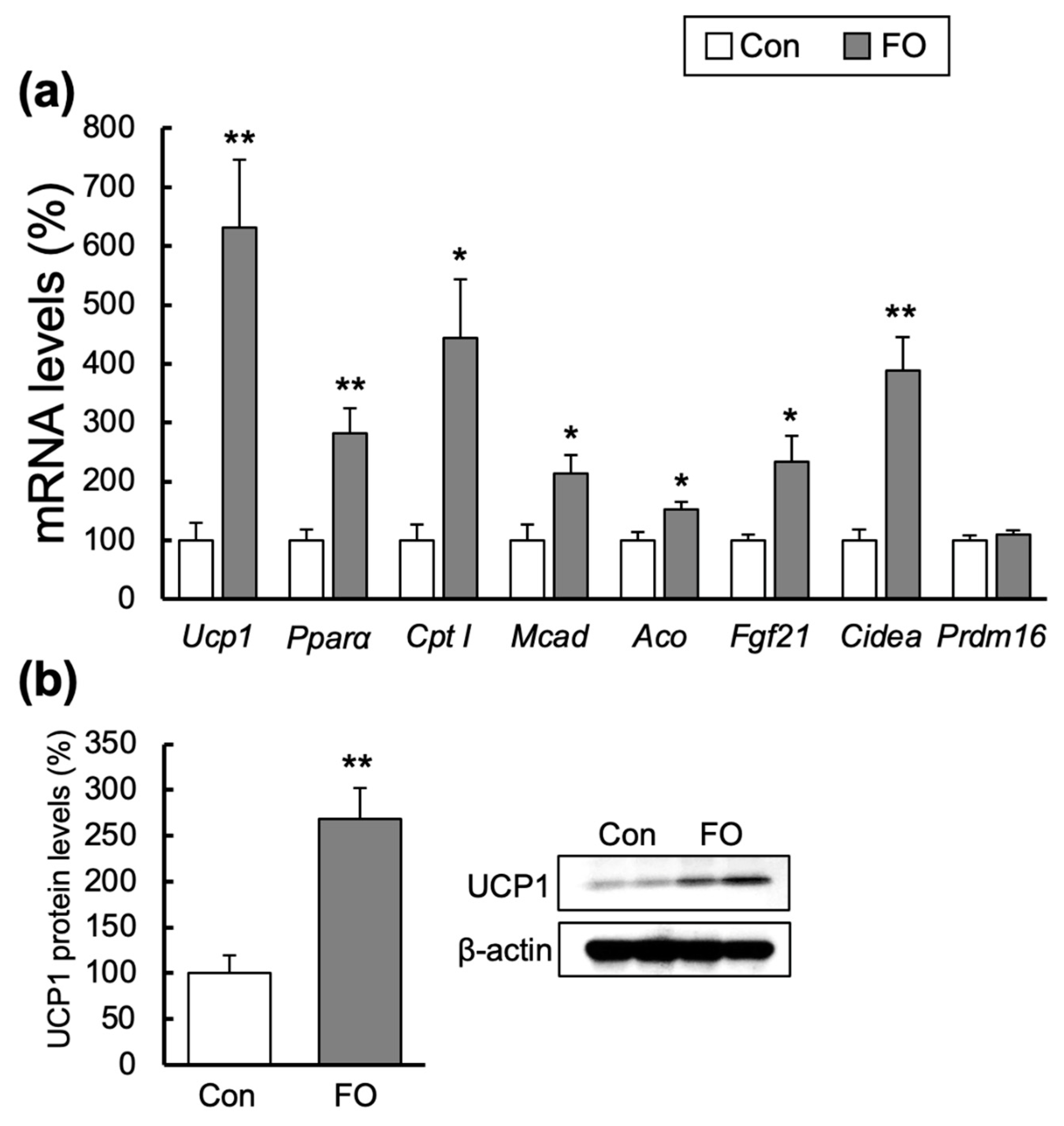Marinedrugs 19 00278 g004