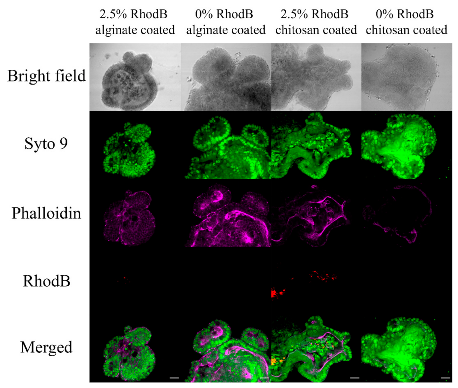 Marinedrugs 19 00282 g009