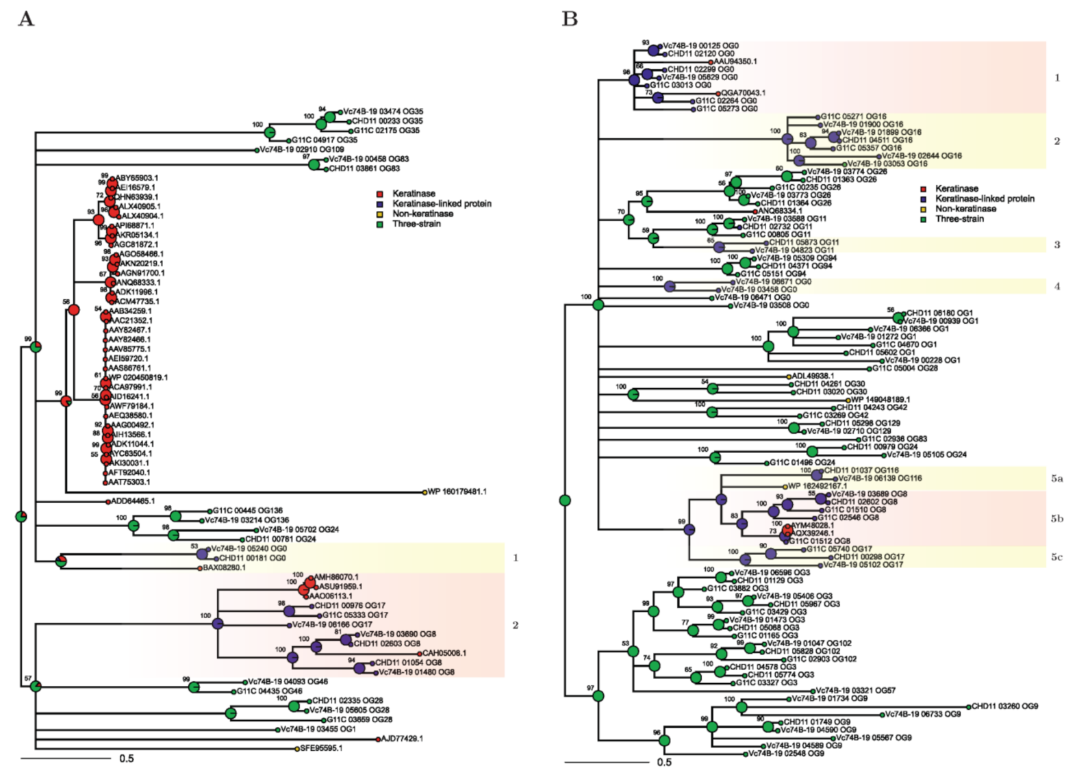 Marinedrugs 19 00286 g005