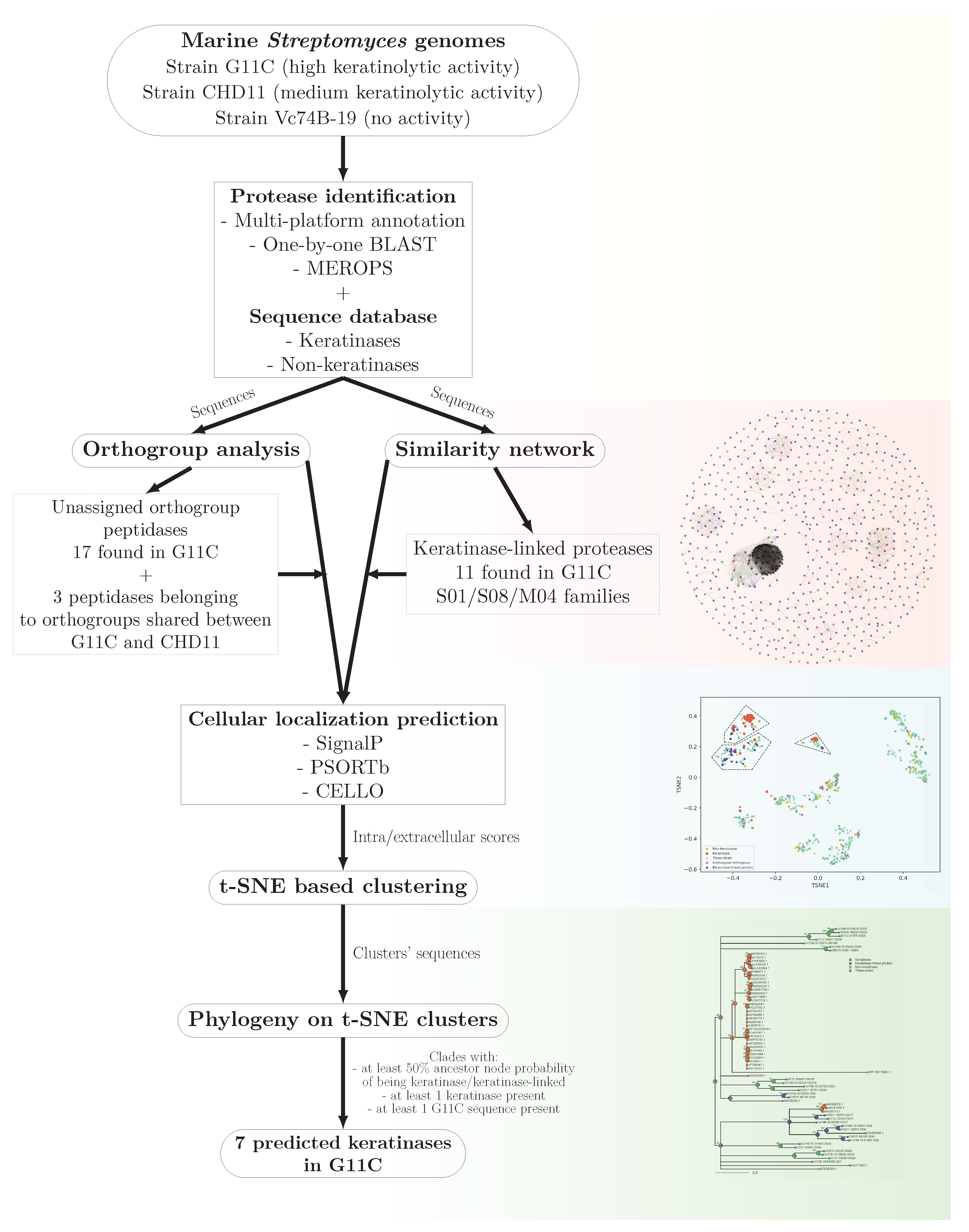 Marinedrugs 19 00286 g006
