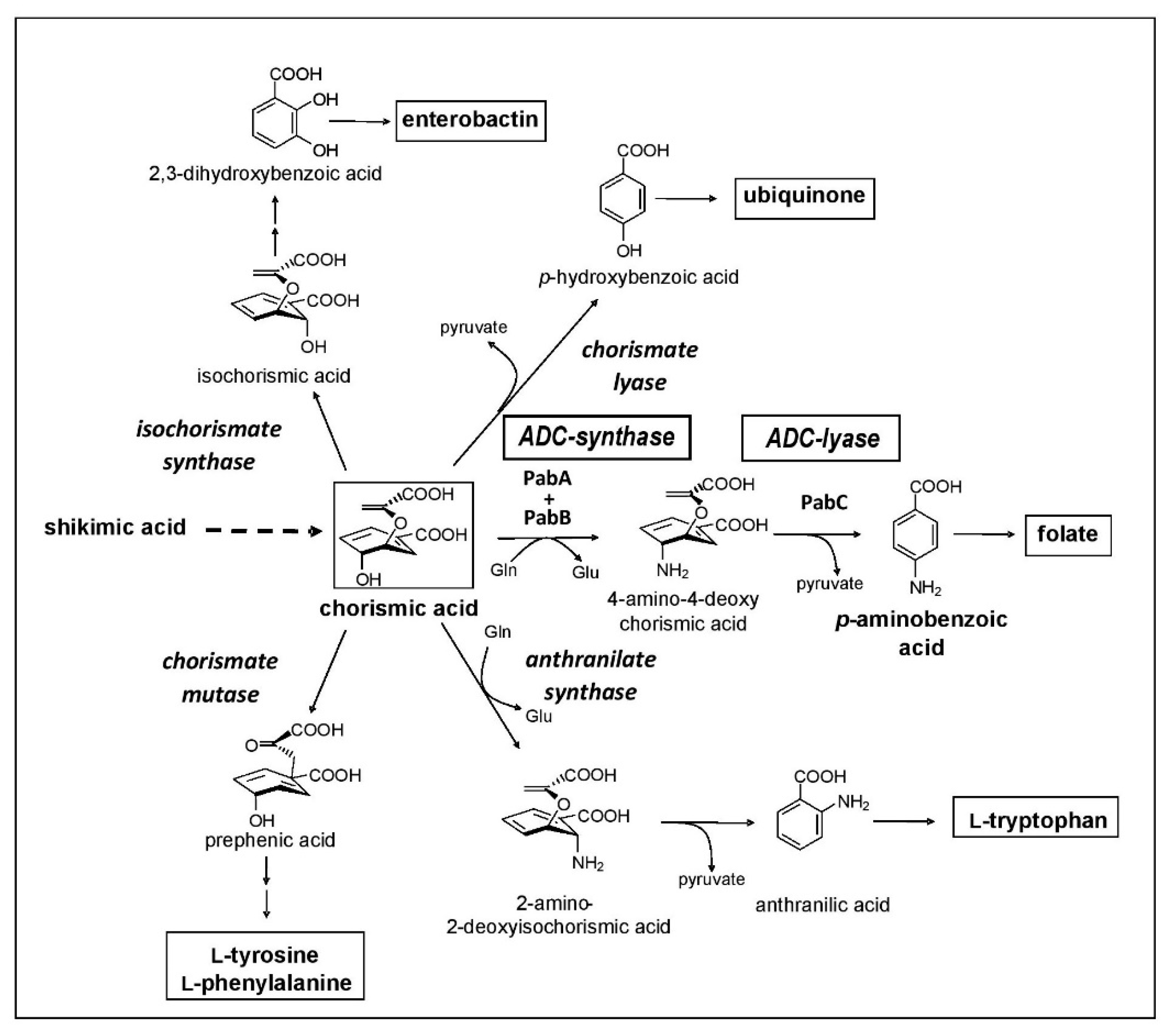 Marinedrugs 19 00299 g001 Marinedrugs 19 00299 g001