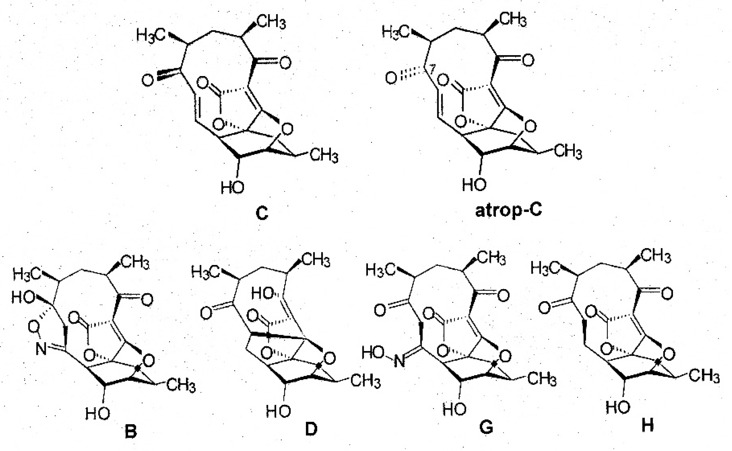 Marinedrugs 19 00299 g004 Marinedrugs 19 00299 g004