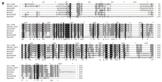 Marinedrugs 19 00300 g002b
