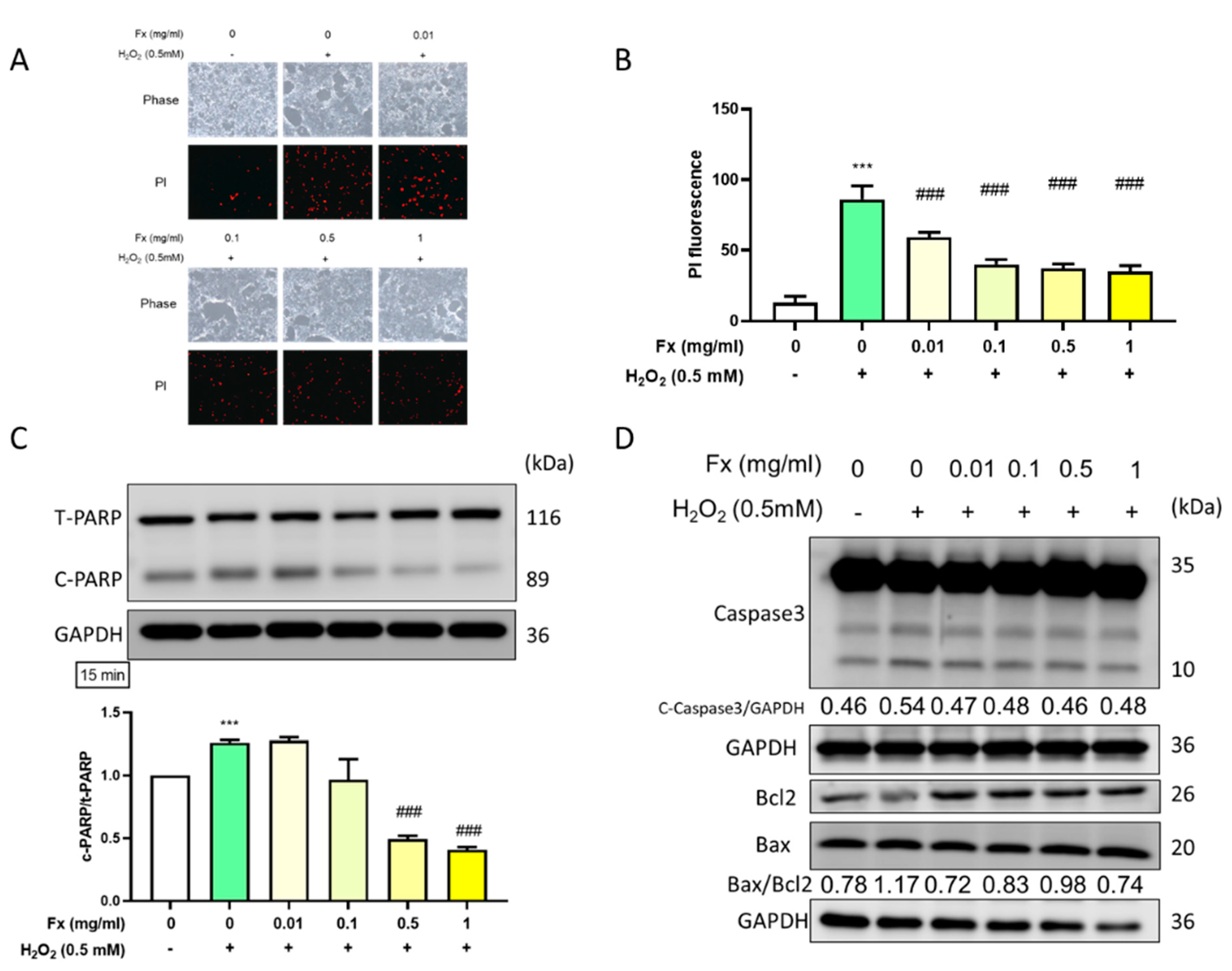 Marinedrugs 19 00307 g002