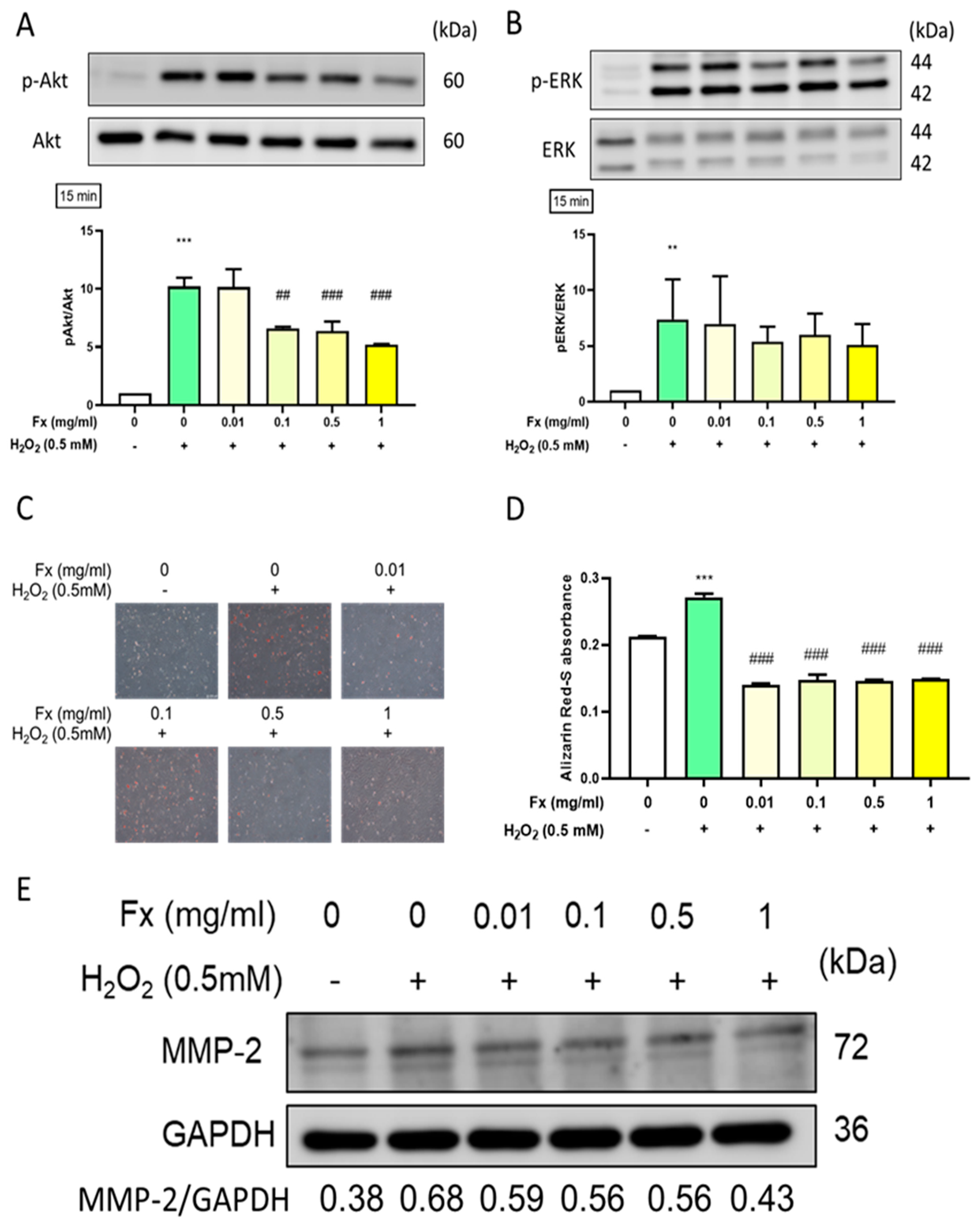 Marinedrugs 19 00307 g004