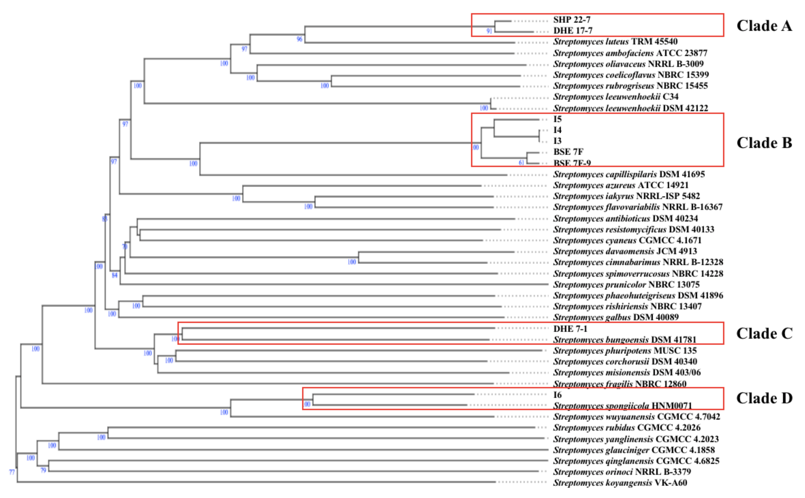 Marinedrugs 19 00316 g003