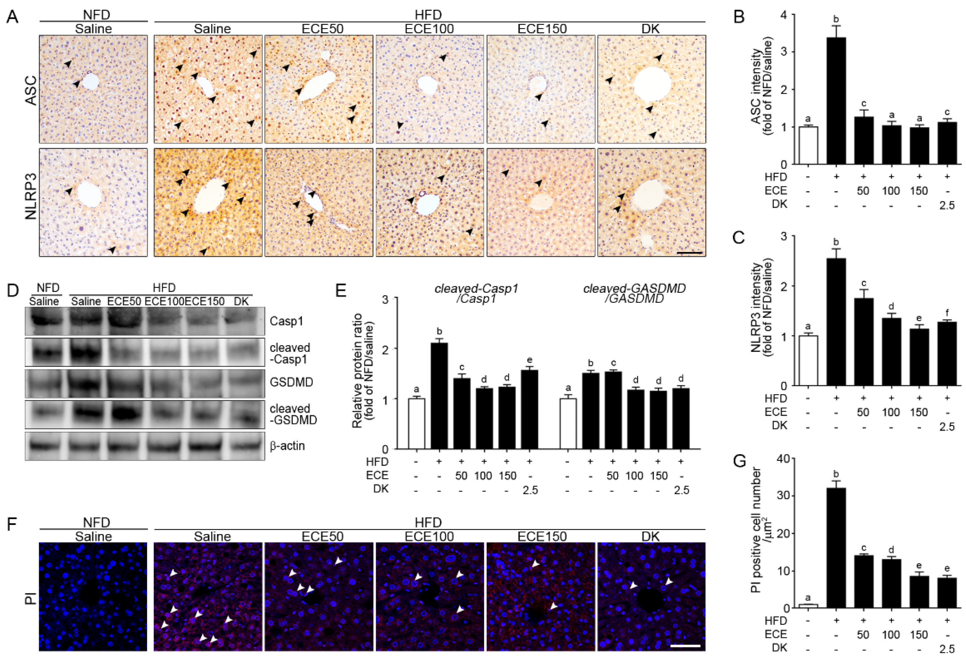 Marinedrugs 19 00318 g002 Marinedrugs 19 00318 g002