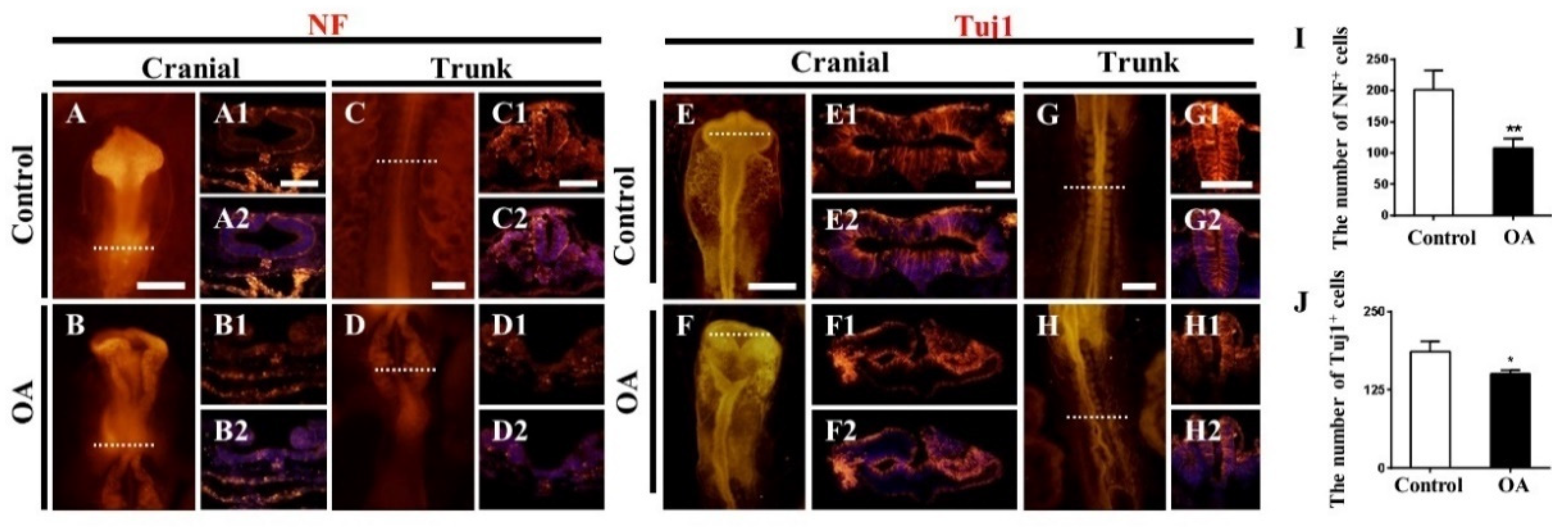 Marinedrugs 19 00322 g003