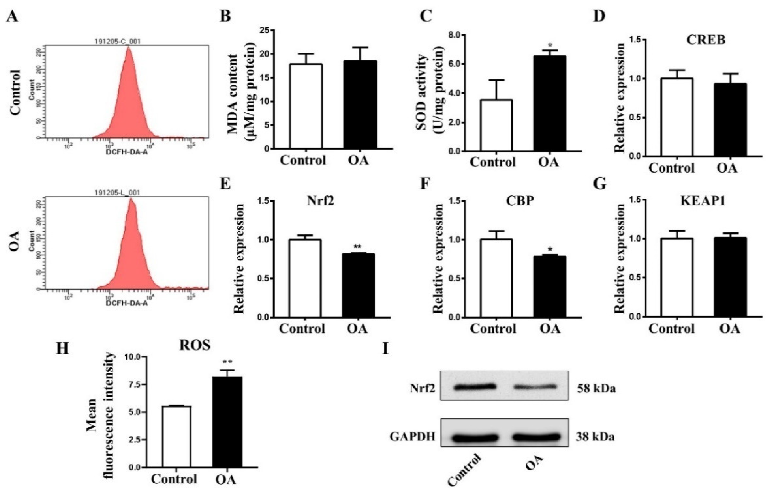 Marinedrugs 19 00322 g006