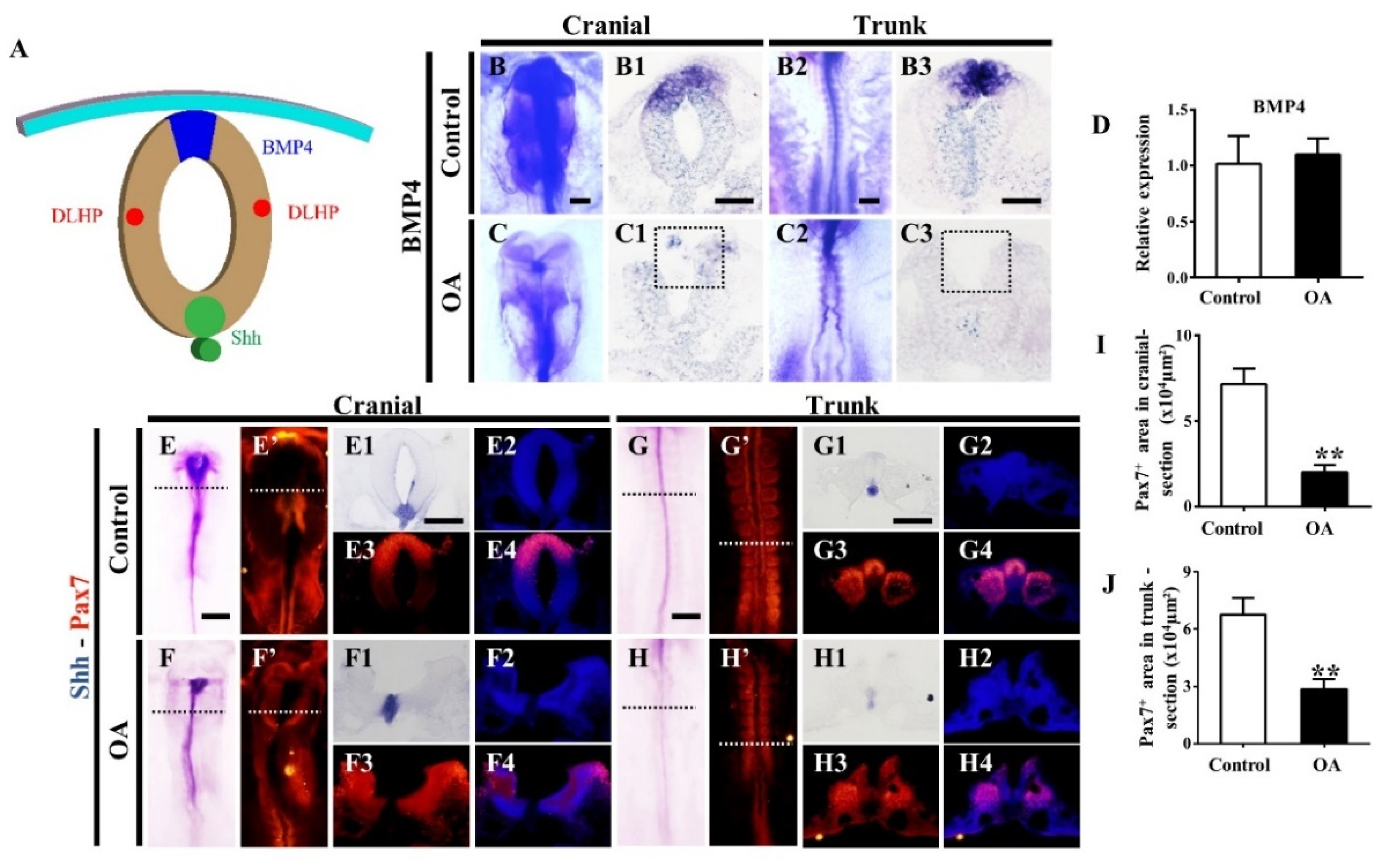 Marinedrugs 19 00322 g007