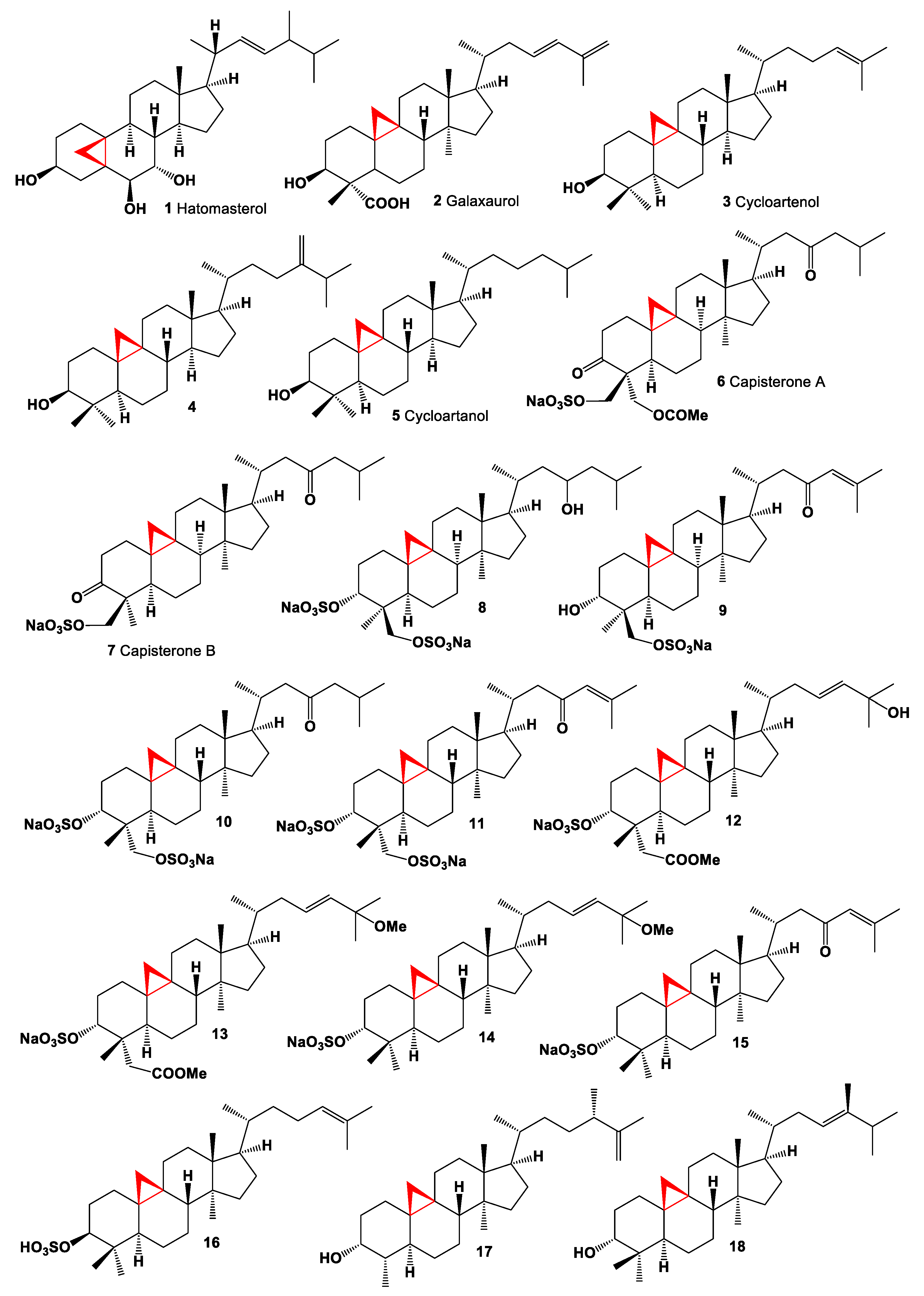 Marinedrugs 19 00324 g001