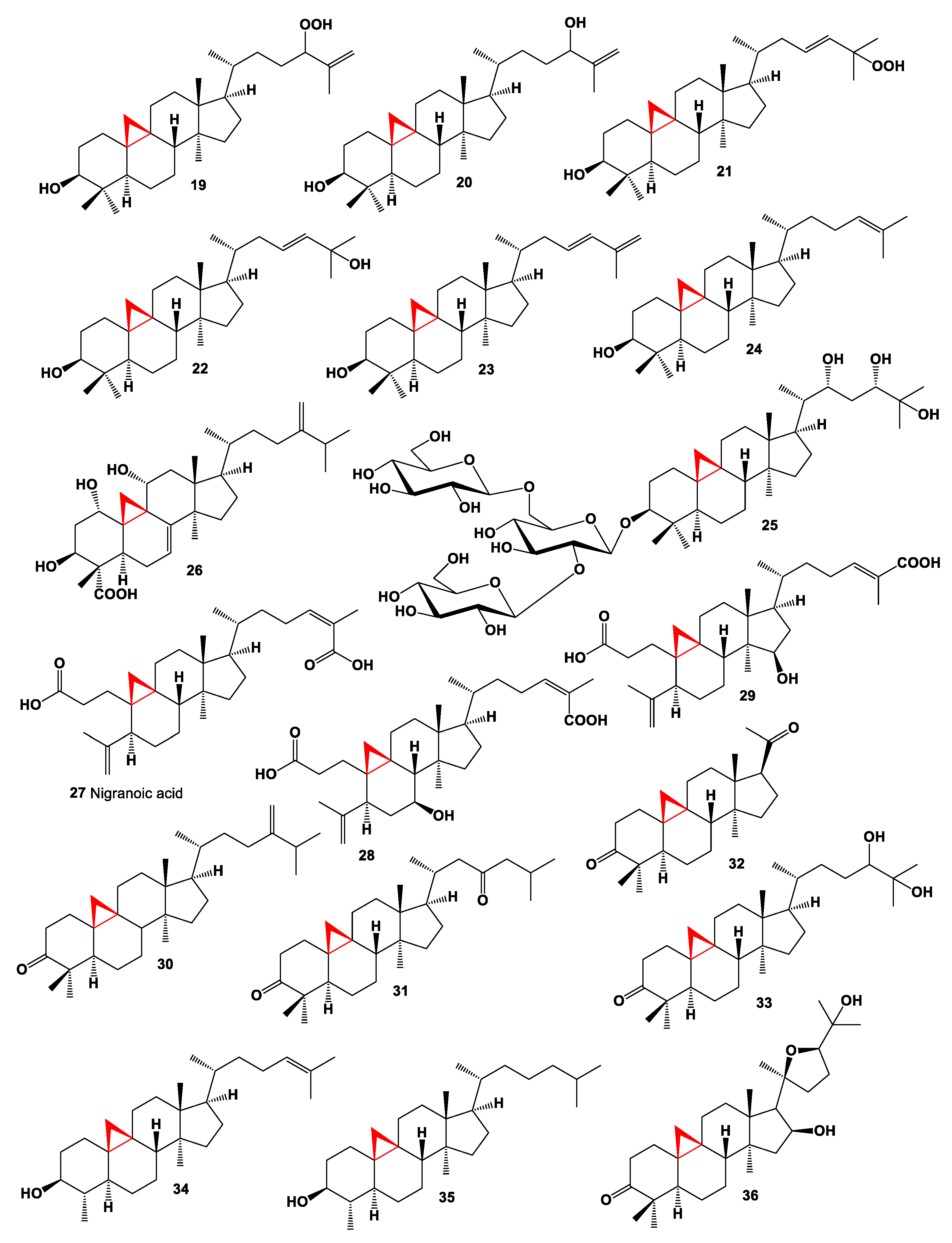 Marinedrugs 19 00324 g002