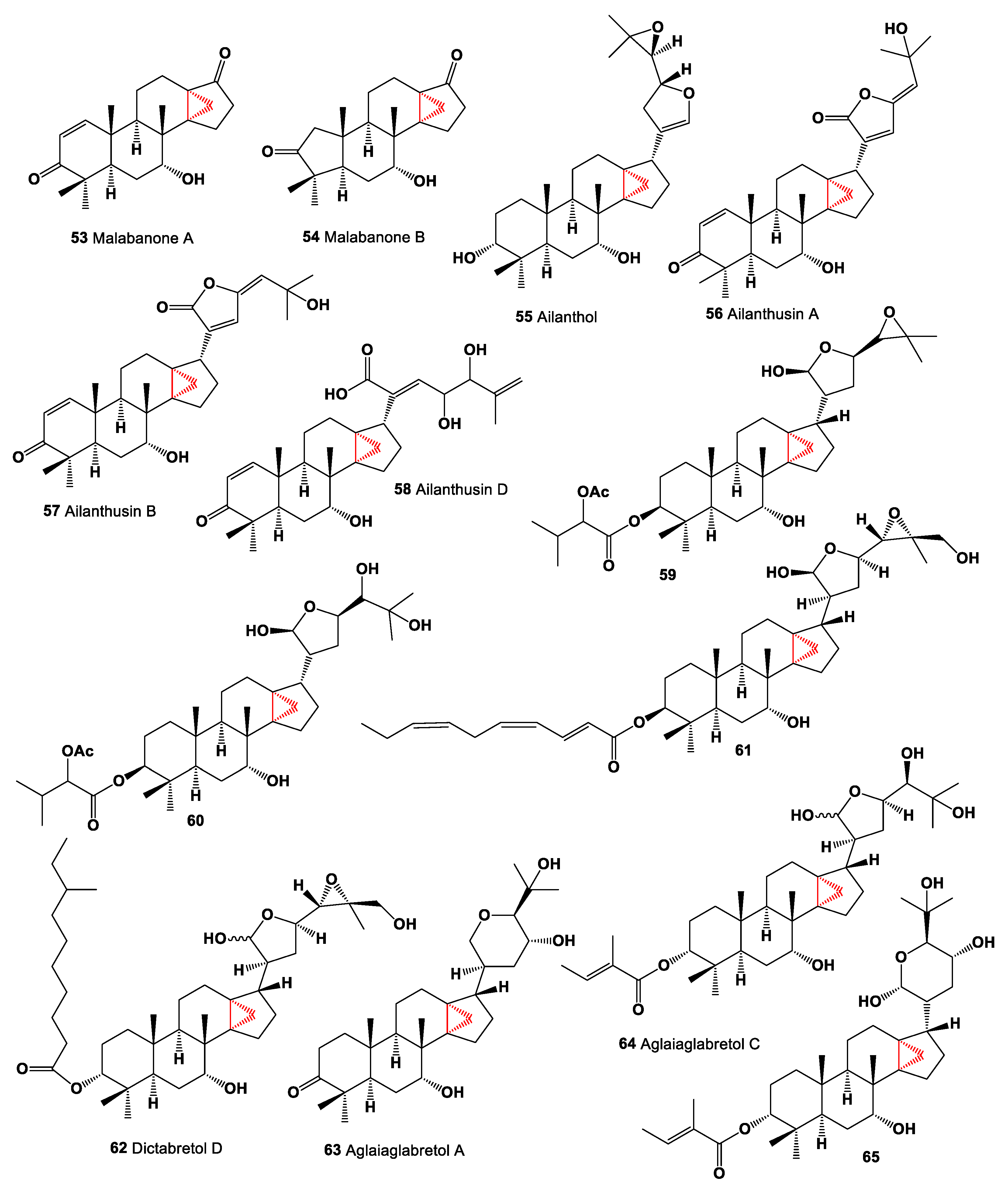 Marinedrugs 19 00324 g004