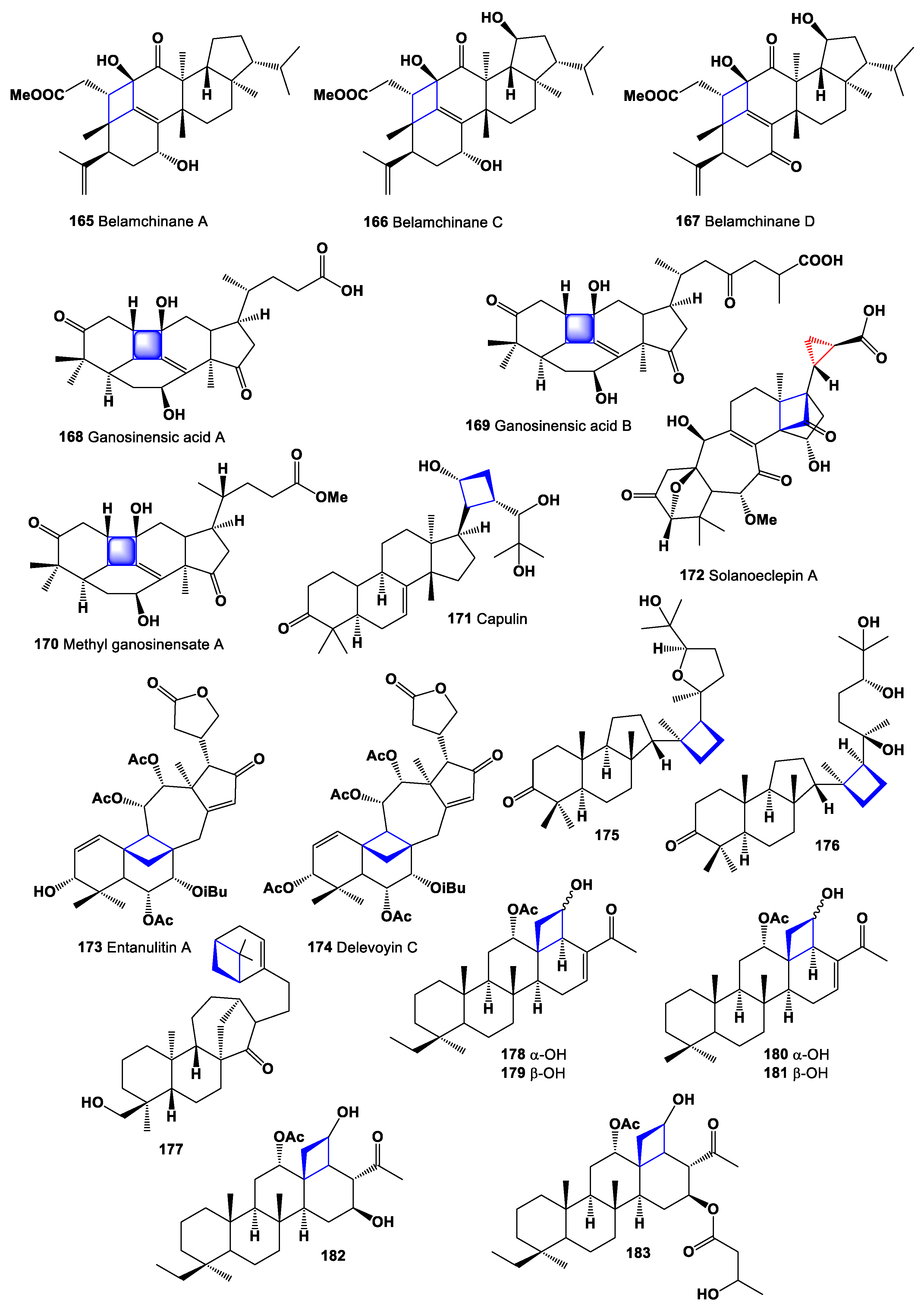 Marinedrugs 19 00324 g013