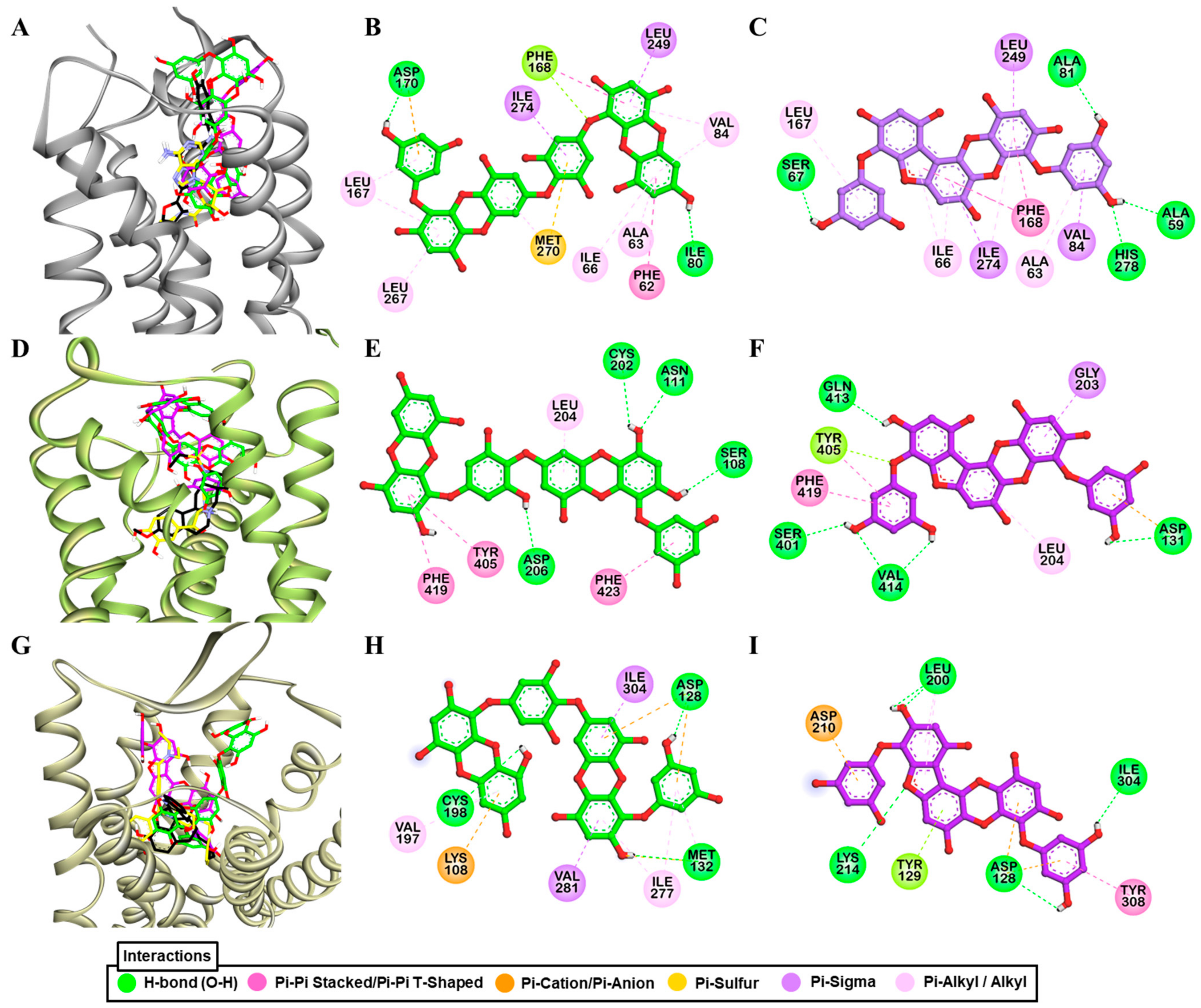 Marinedrugs 19 00326 g004