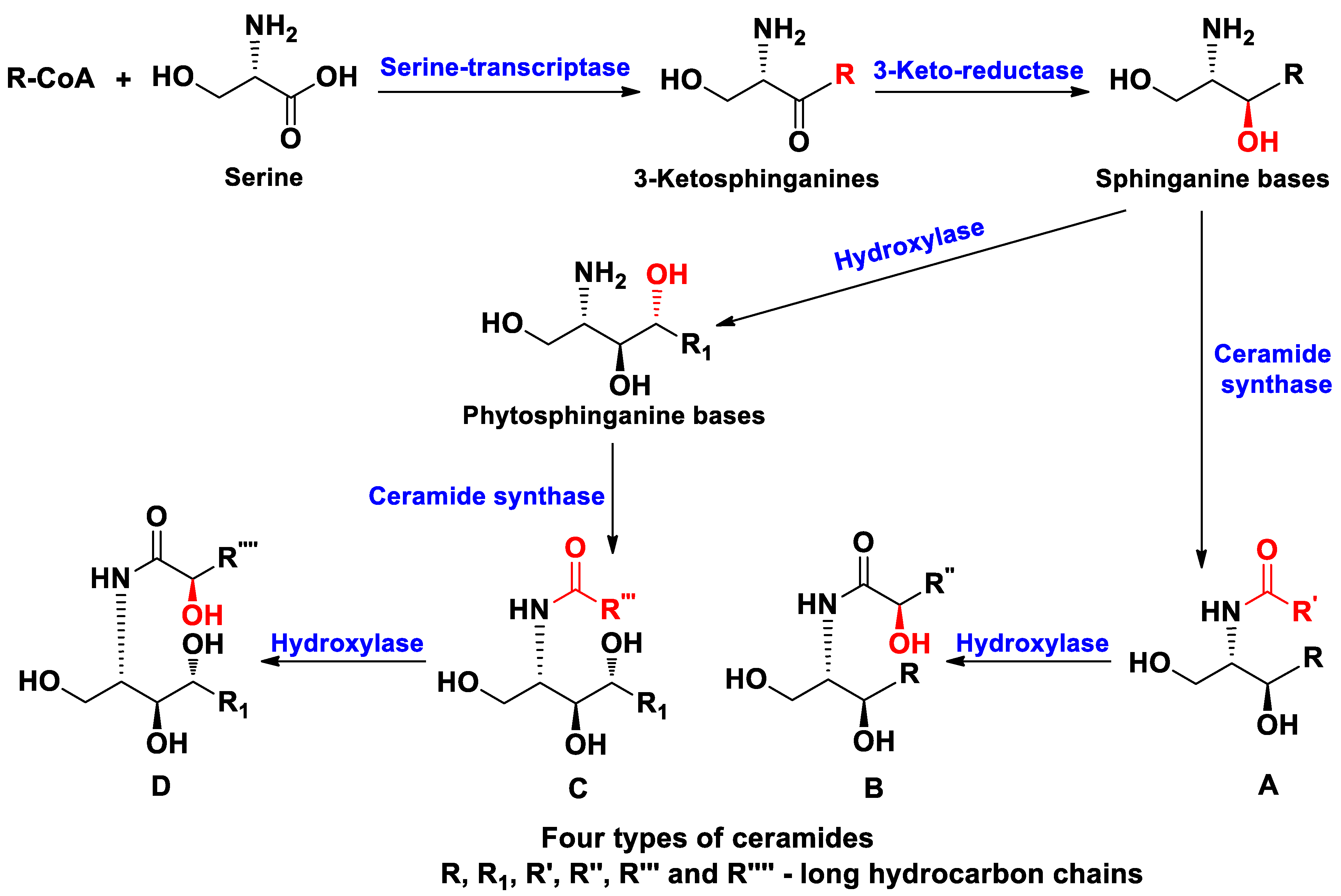 Marinedrugs 19 00330 g001 Marinedrugs 19 00330 g001