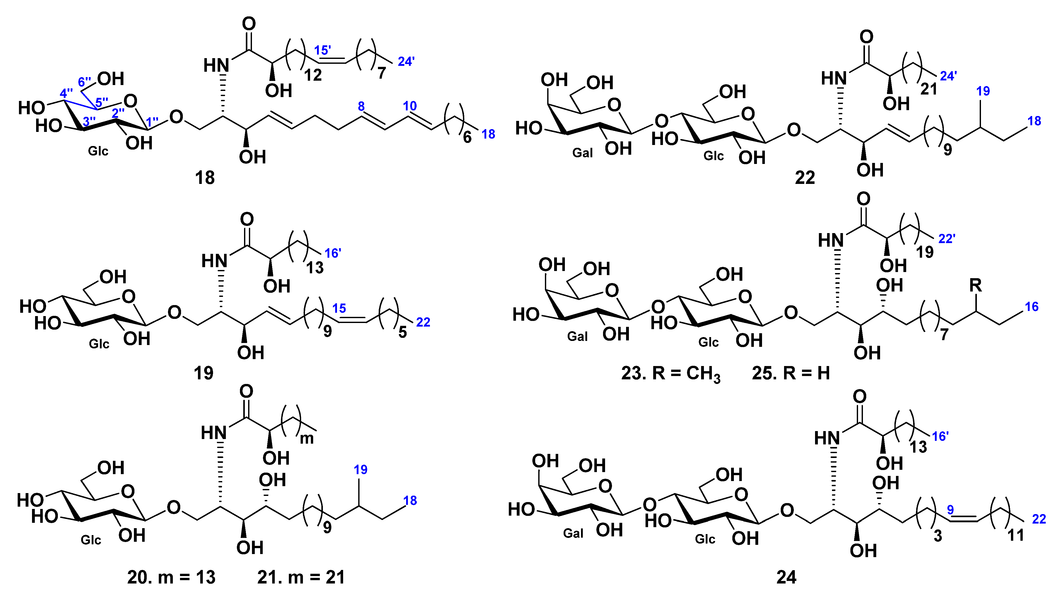 Marinedrugs 19 00330 g003 Marinedrugs 19 00330 g003