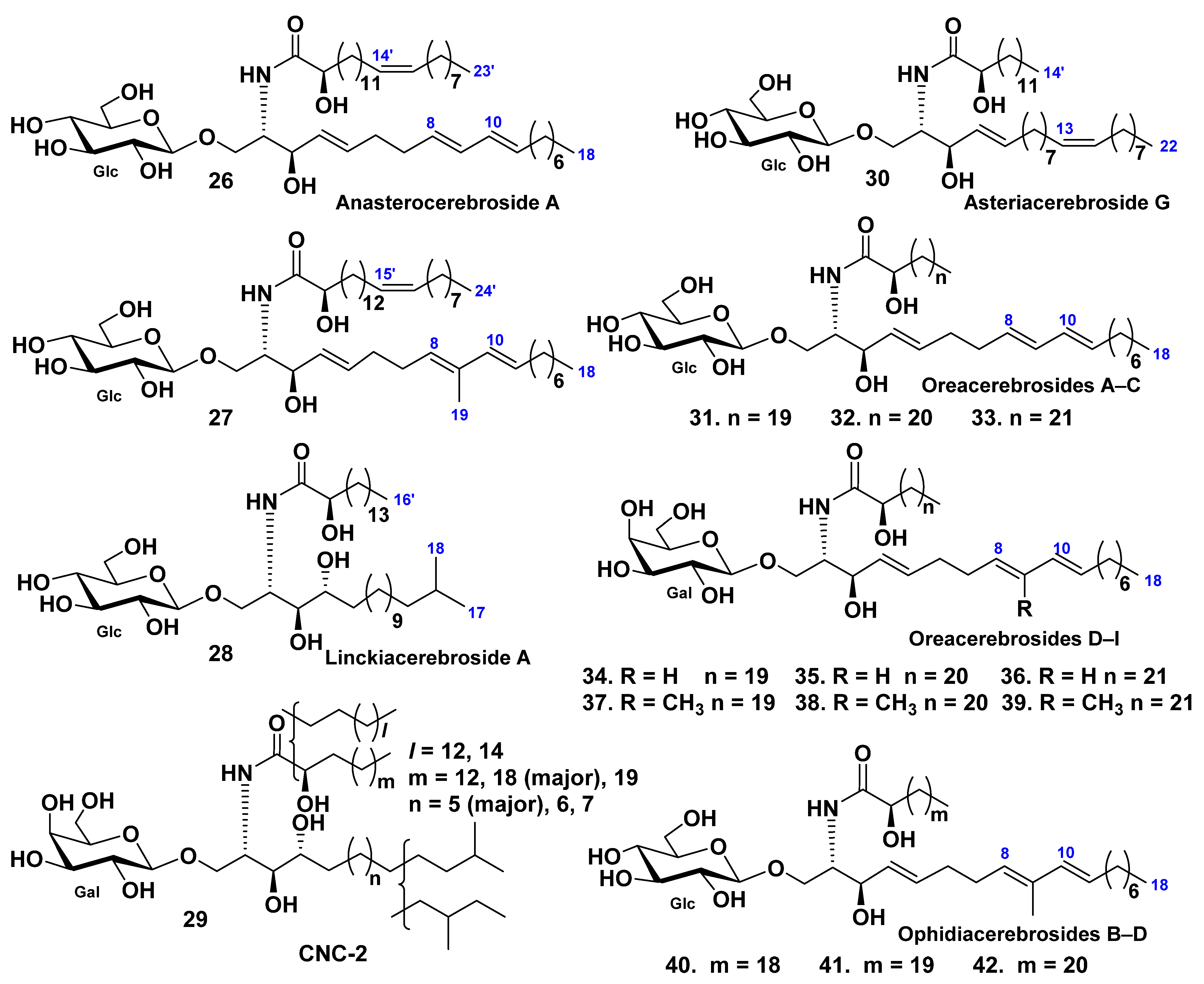 Marinedrugs 19 00330 g004 Marinedrugs 19 00330 g004