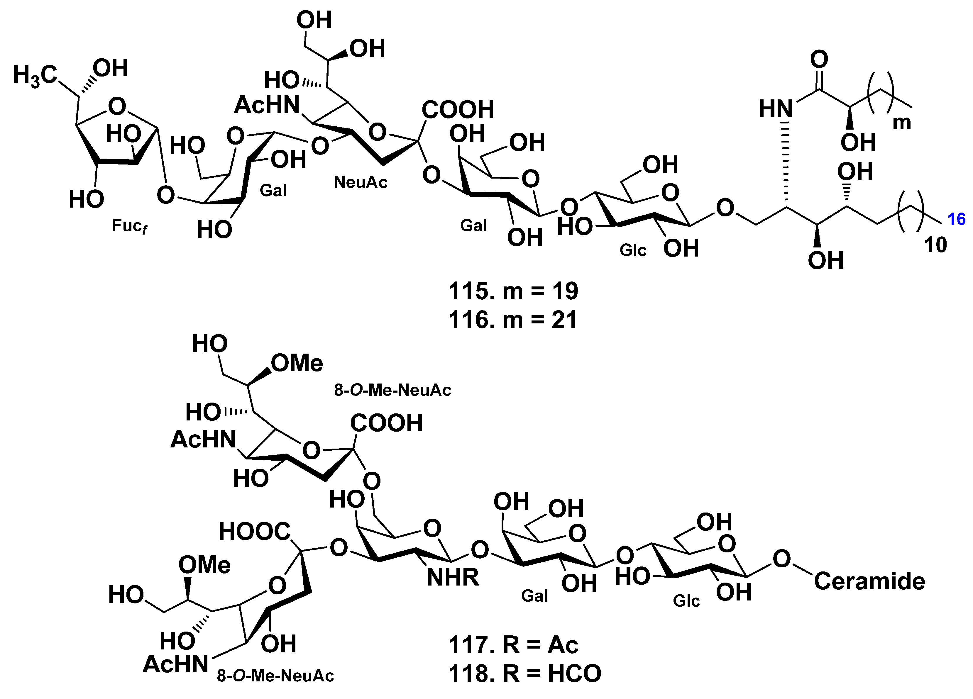 Marinedrugs 19 00330 g011 Marinedrugs 19 00330 g011