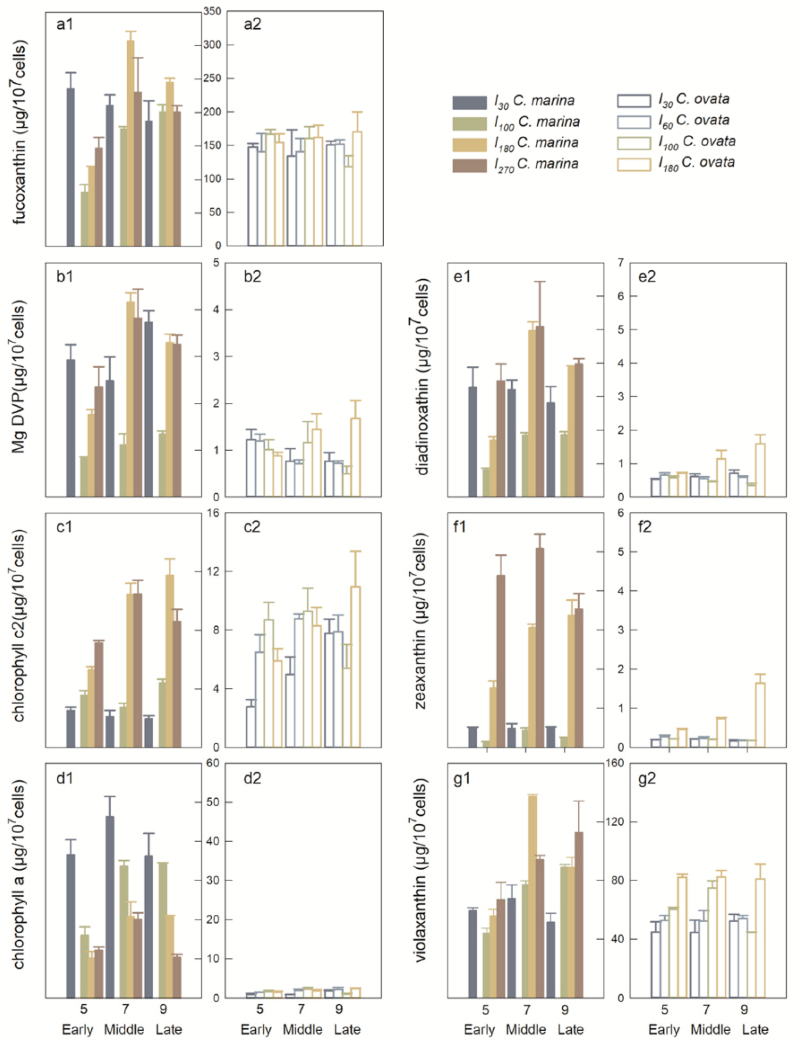 Marinedrugs 19 00336 g004