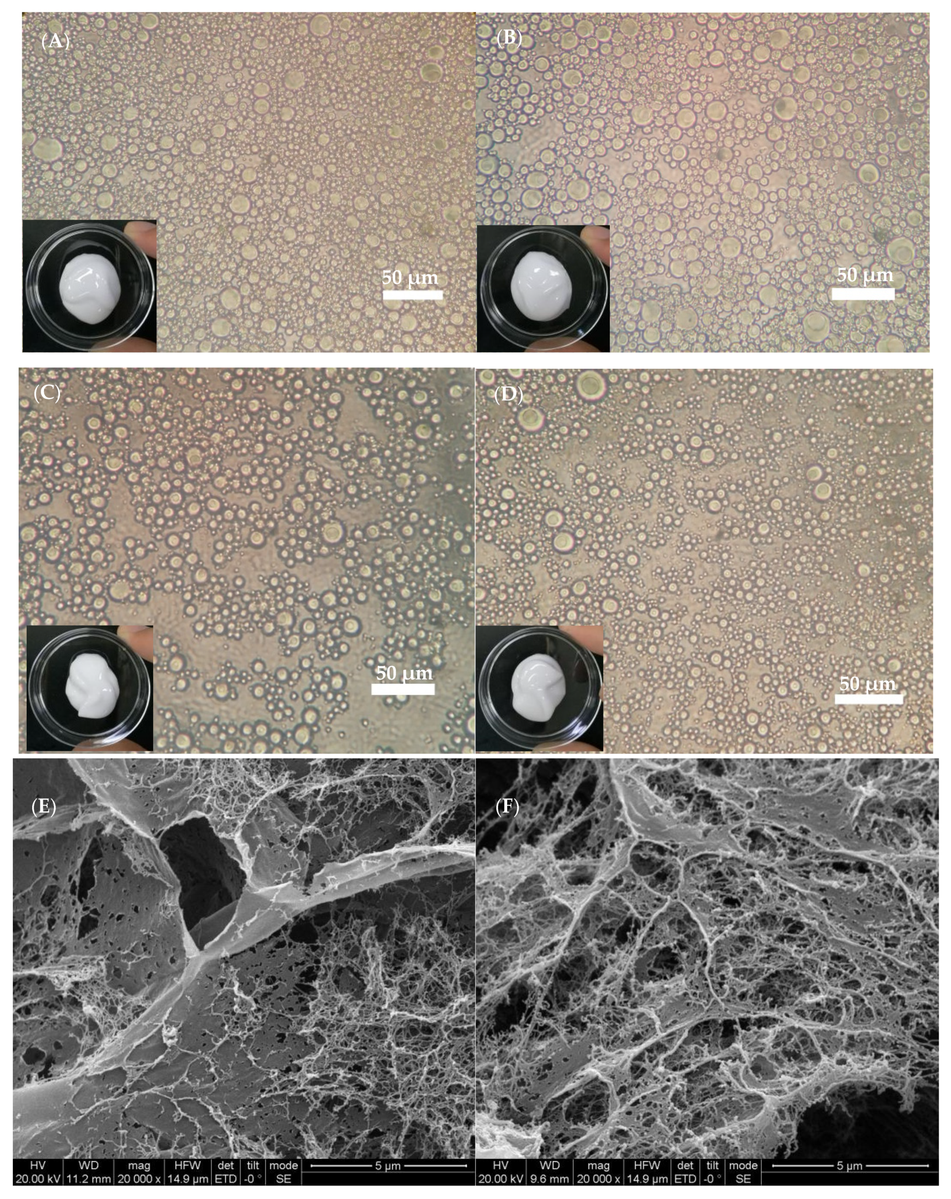 Marinedrugs 19 00344 g008 Marinedrugs 19 00344 g008