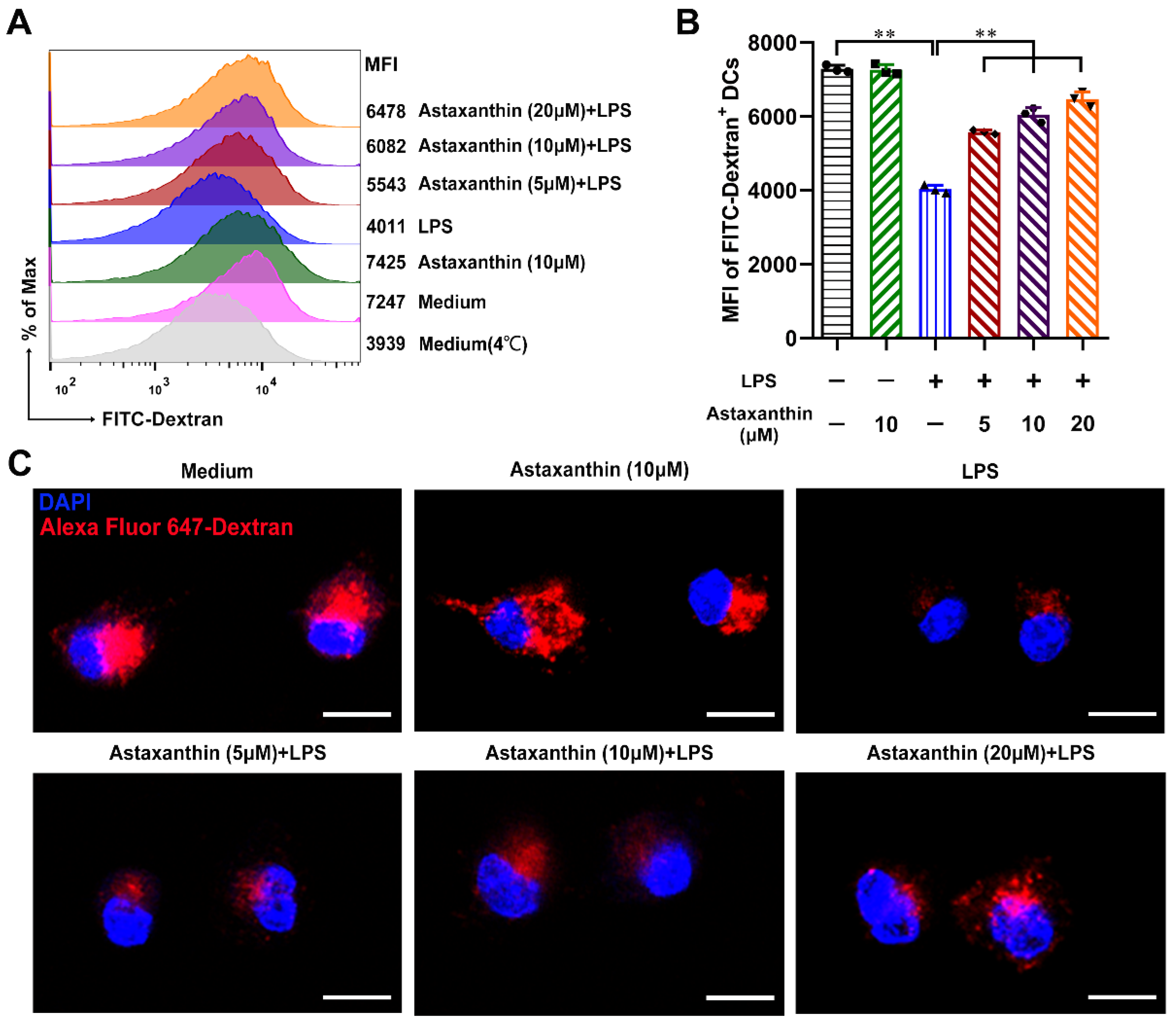 Marinedrugs 19 00346 g005