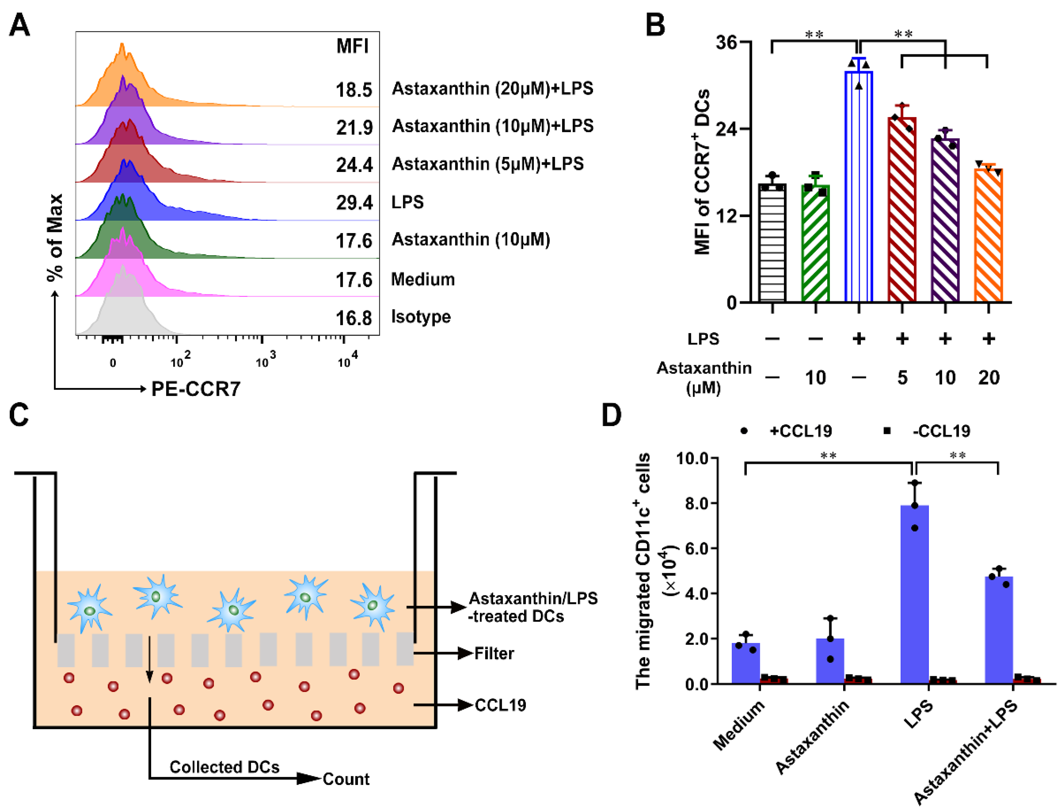 Marinedrugs 19 00346 g006