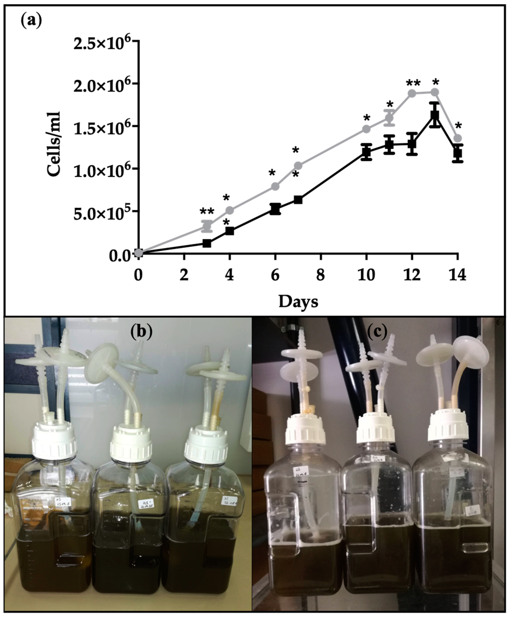 Marinedrugs 19 00355 g001