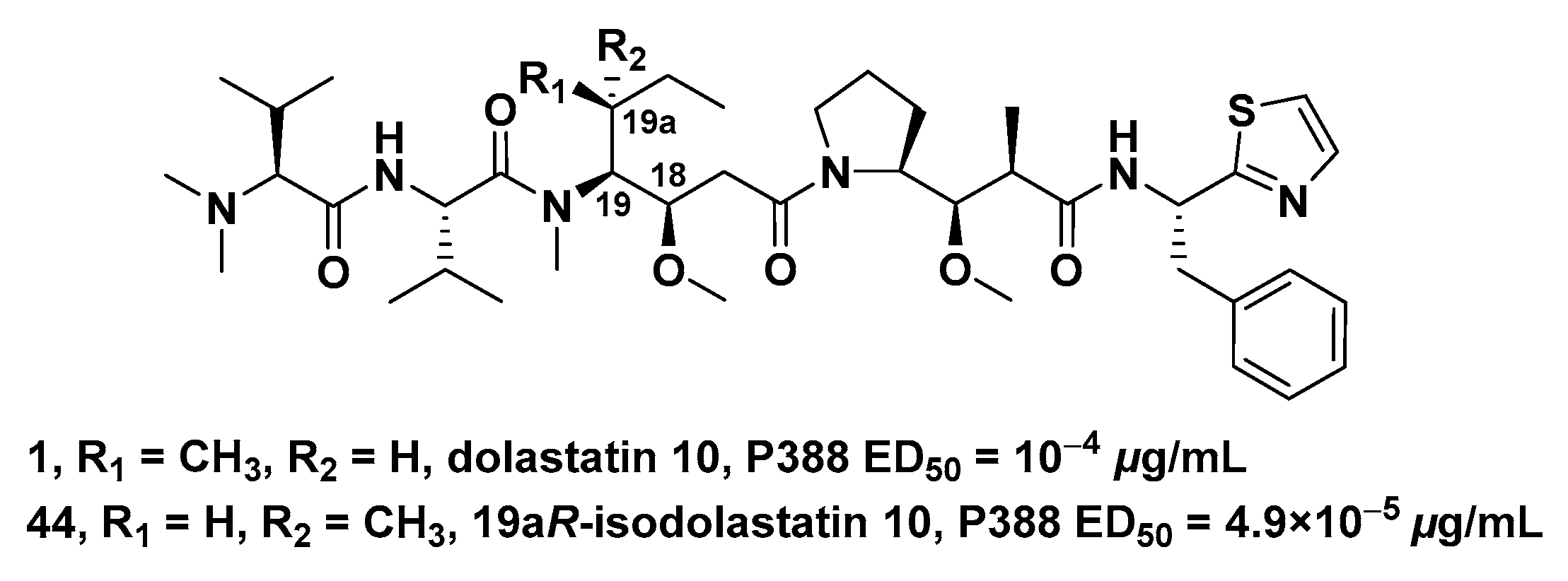 Marinedrugs 19 00363 g006