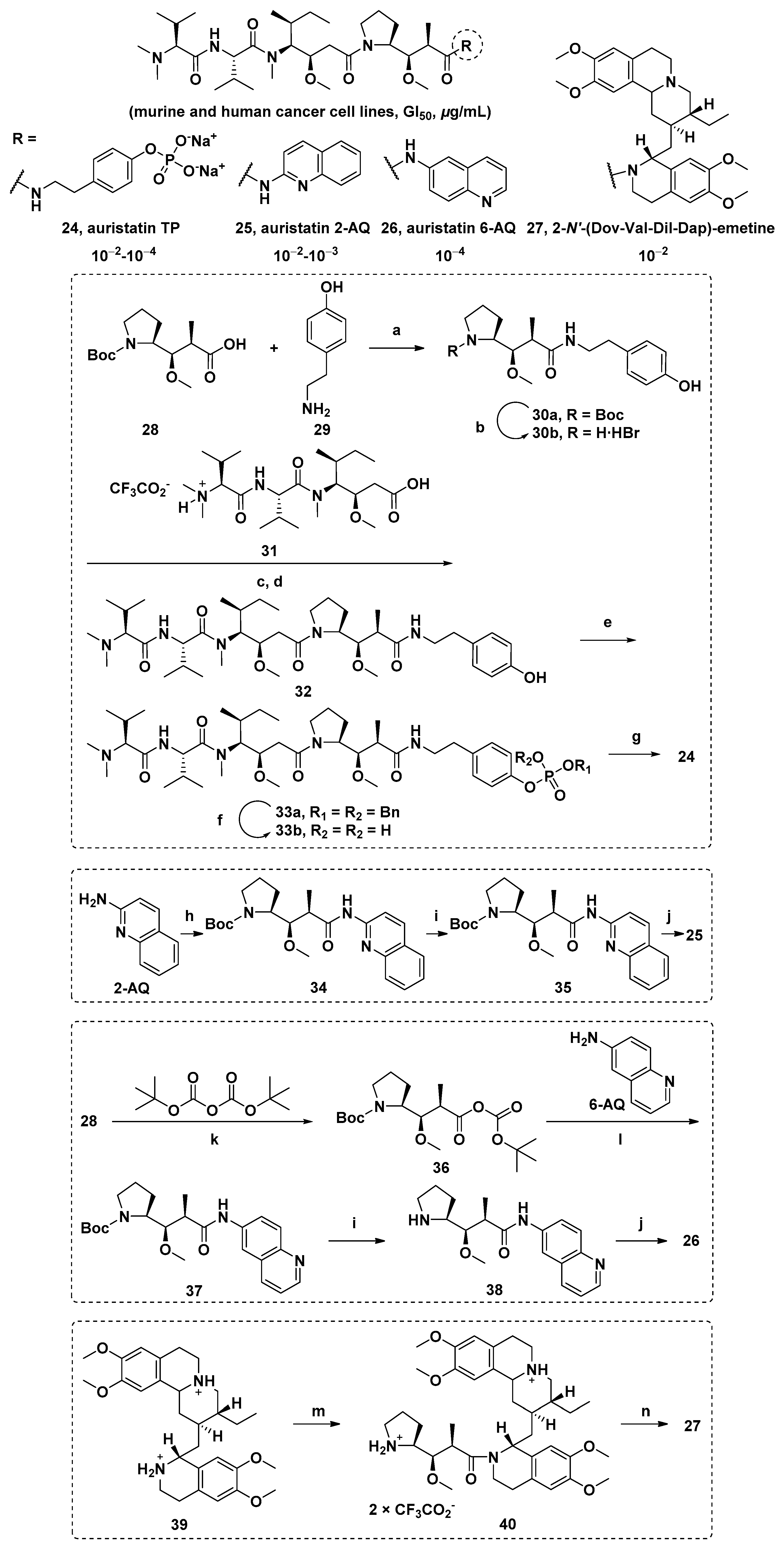 Marinedrugs 19 00363 sch002