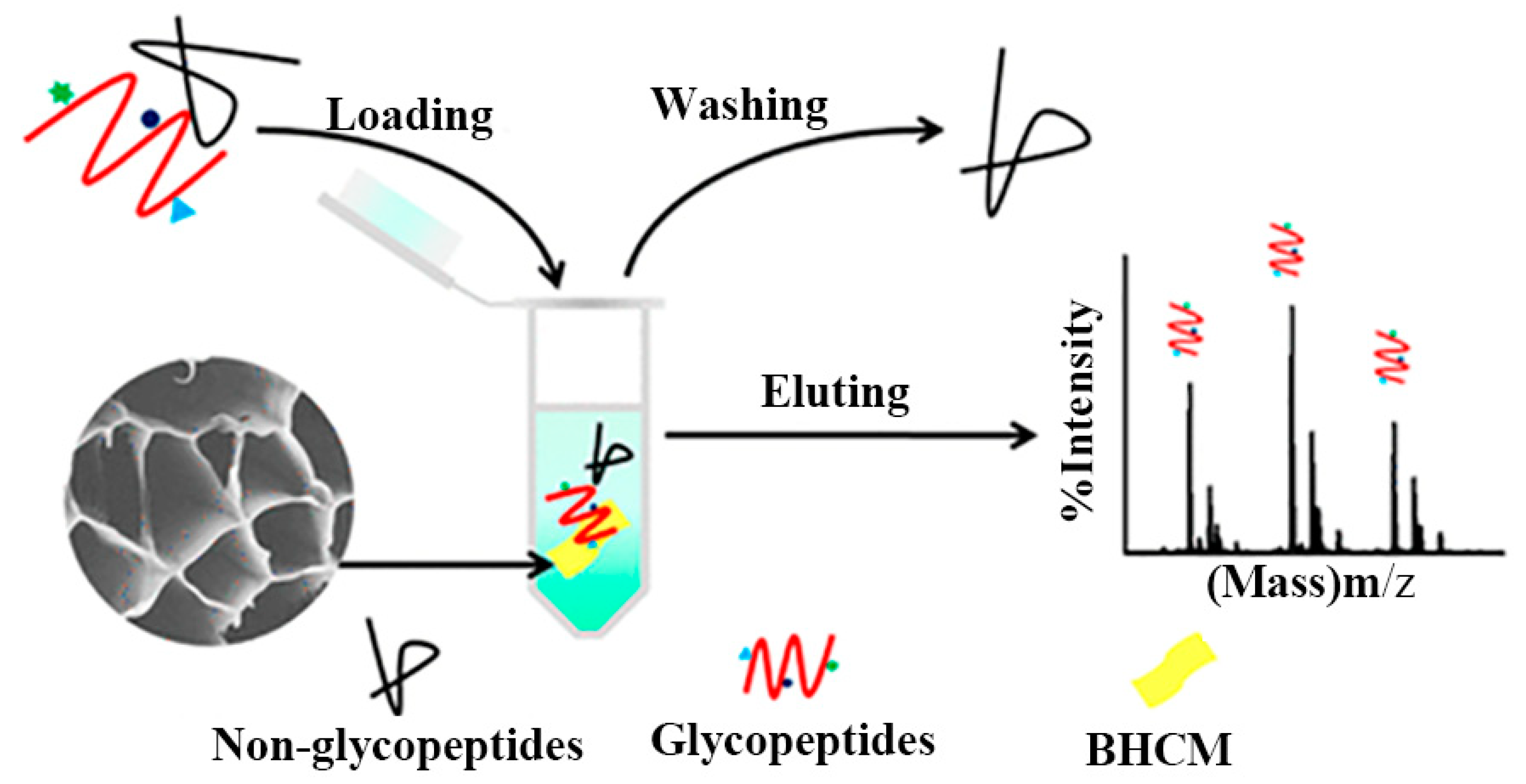 Marinedrugs 19 00372 g011