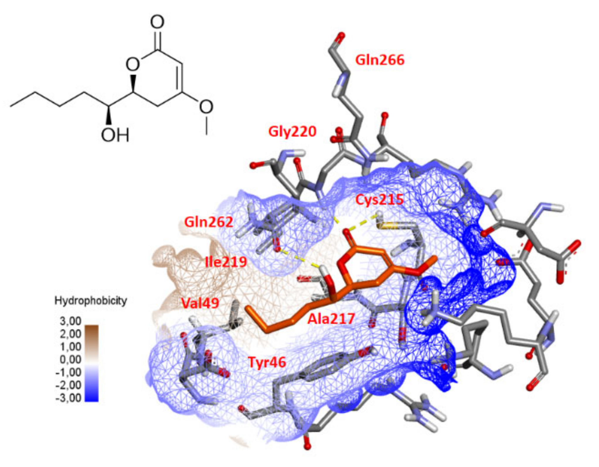 Marinedrugs 19 00378 g010