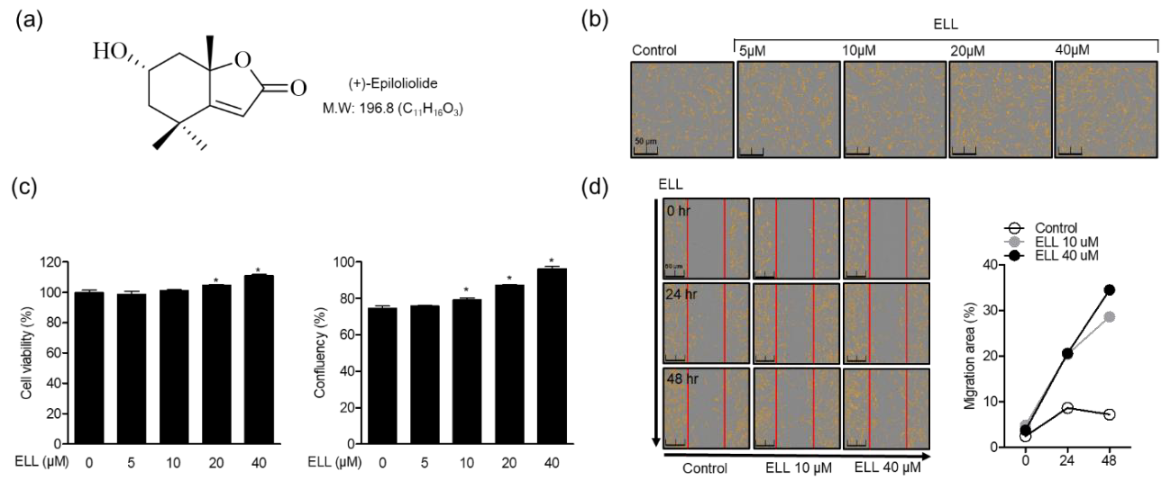 Marinedrugs 19 00388 g001