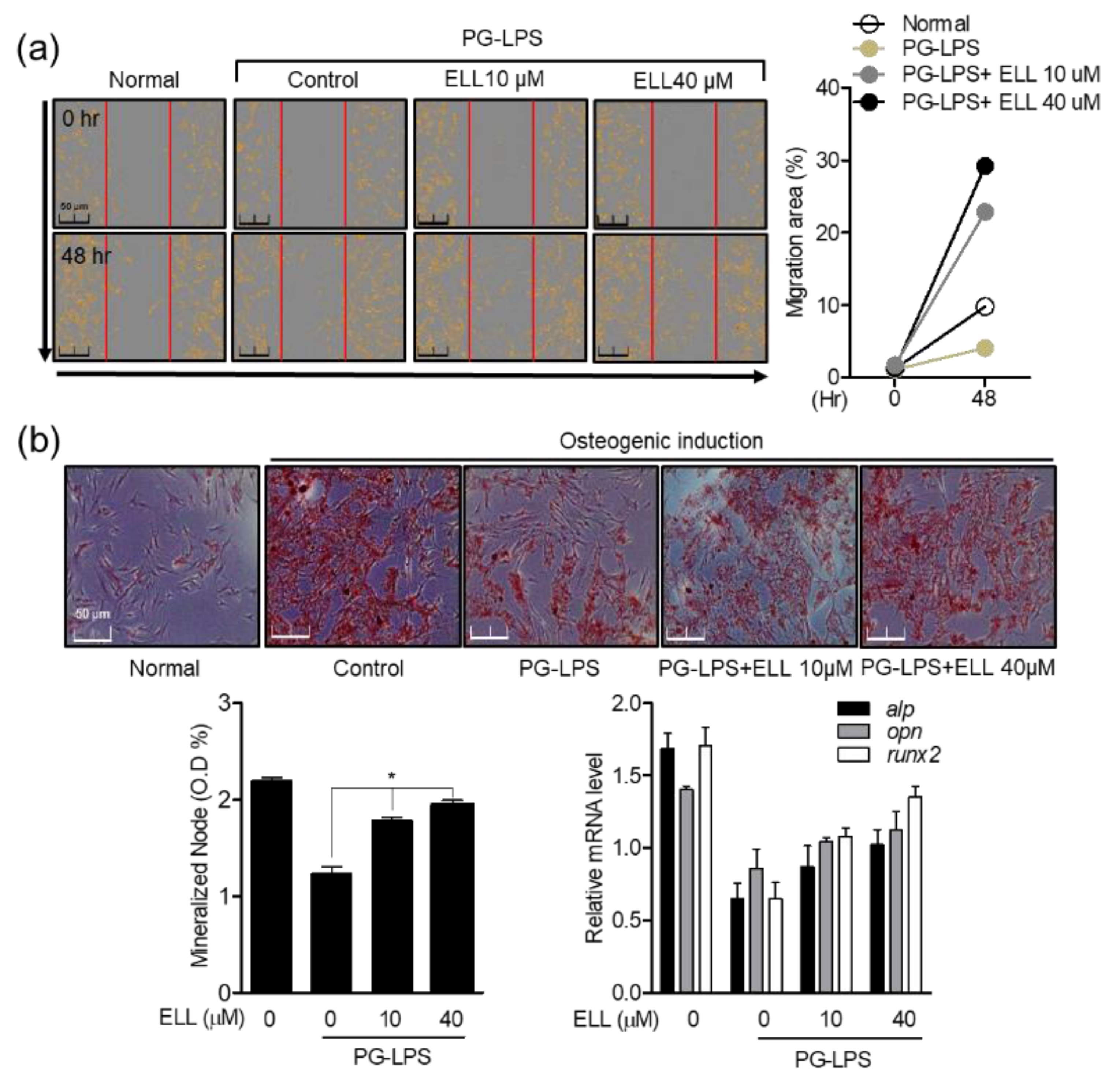 Marinedrugs 19 00388 g002