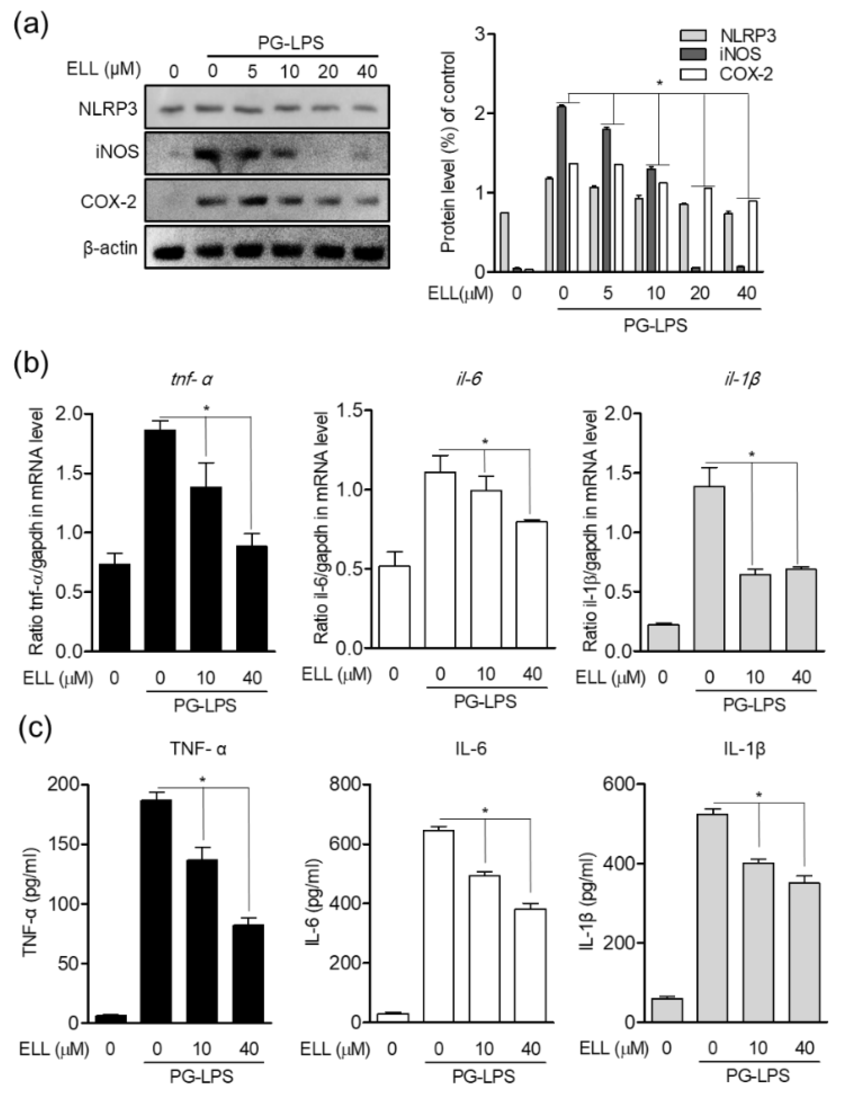 Marinedrugs 19 00388 g003