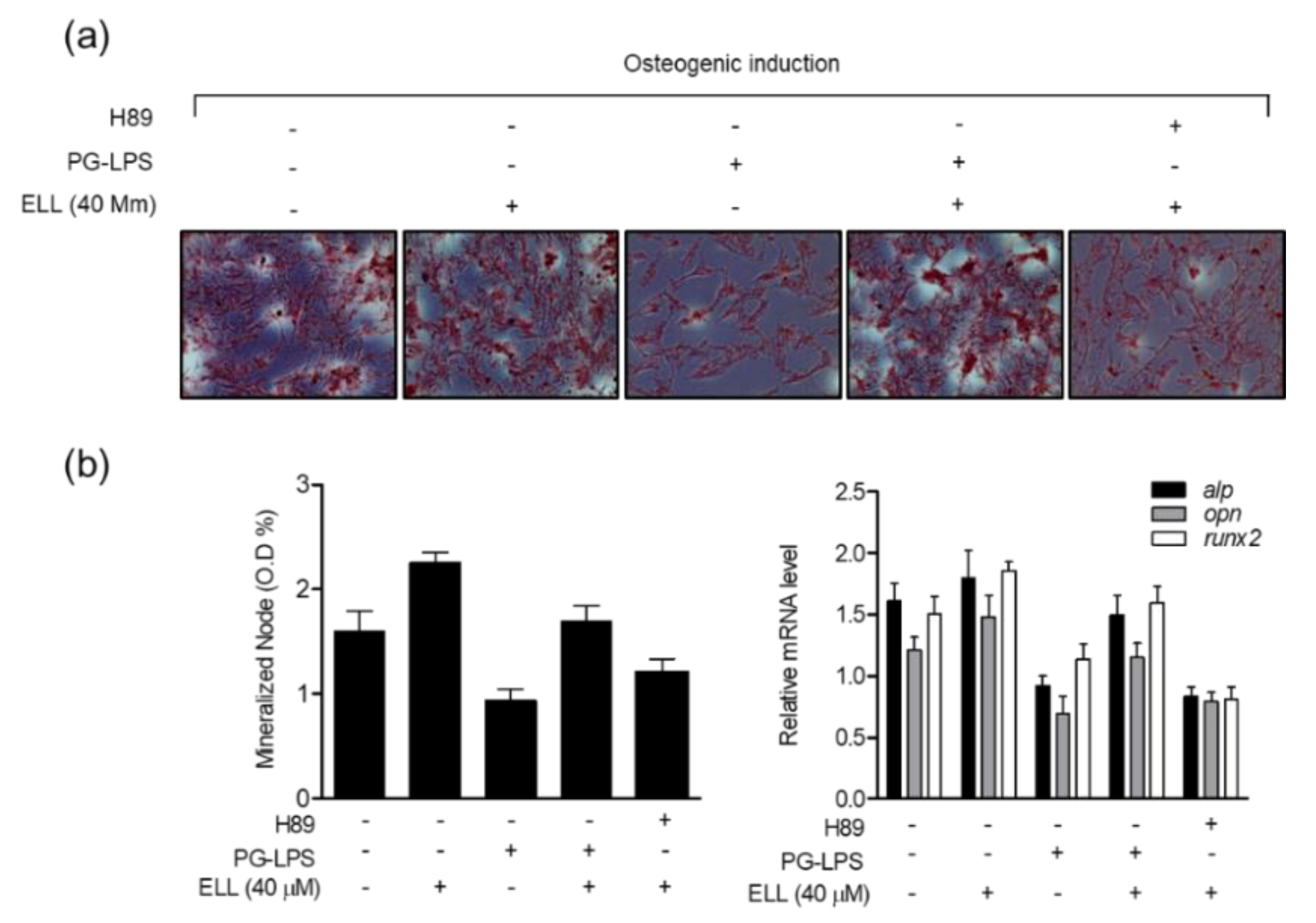 Marinedrugs 19 00388 g007