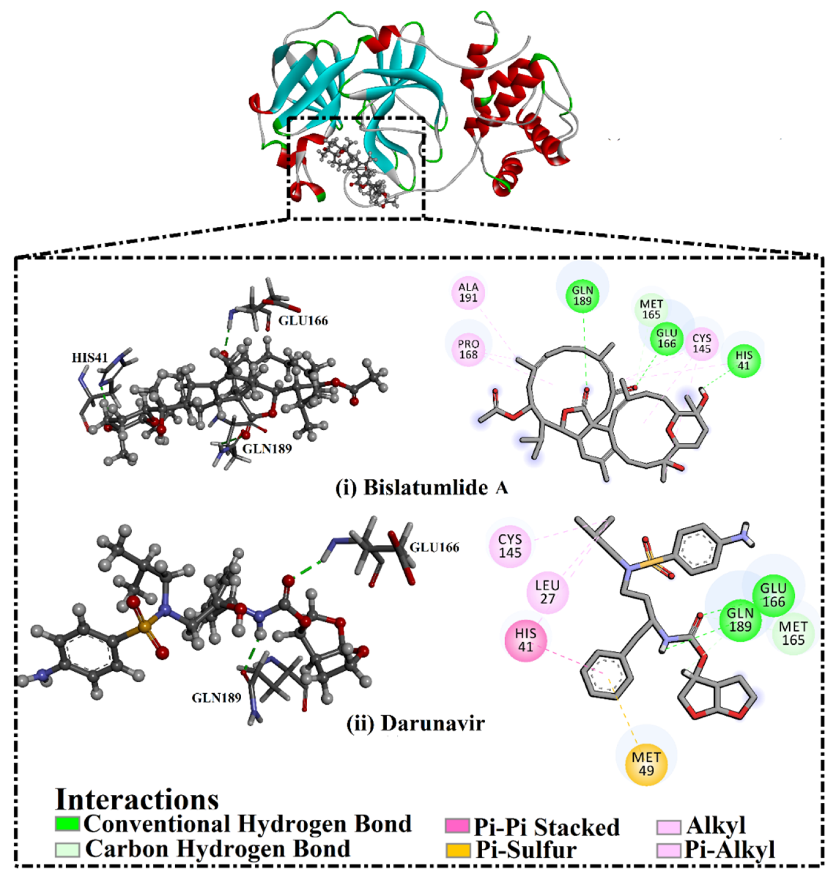 Marinedrugs 19 00391 g003