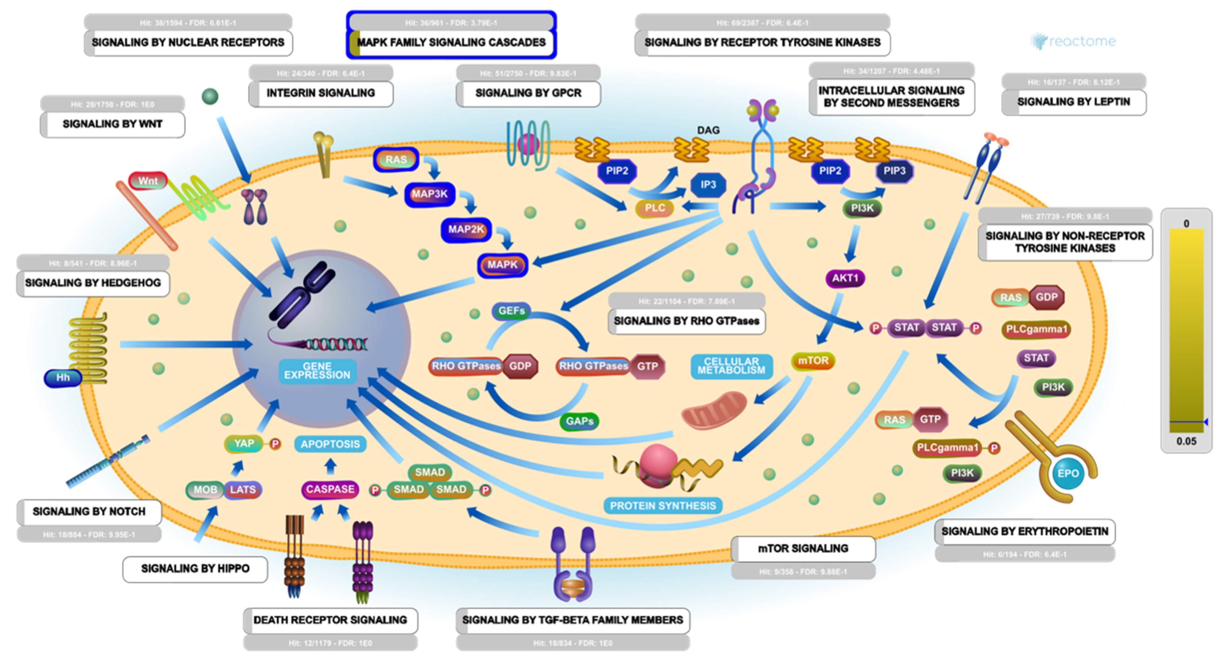 Marinedrugs 19 00391 g010