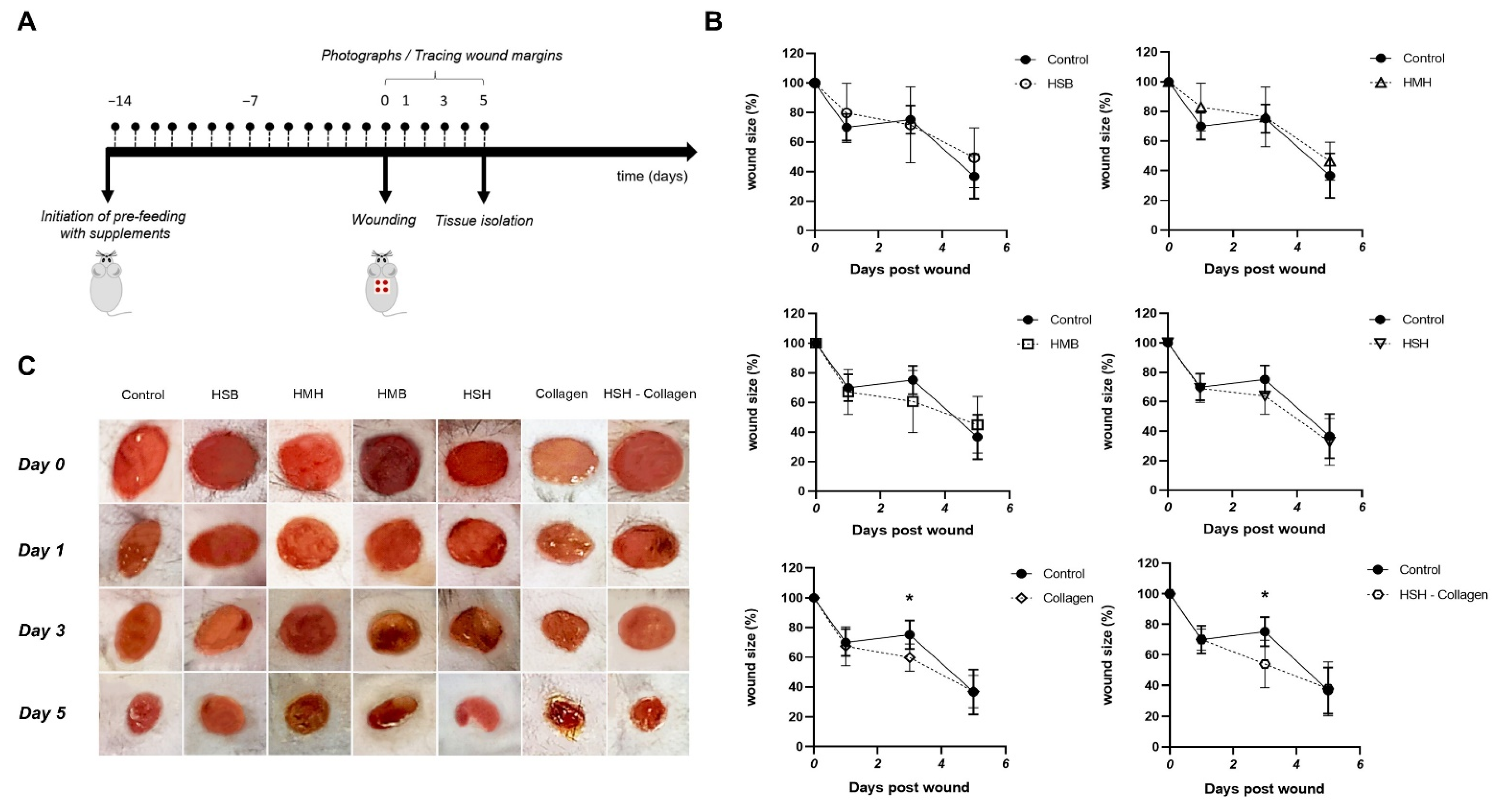 Marinedrugs 19 00396 g001