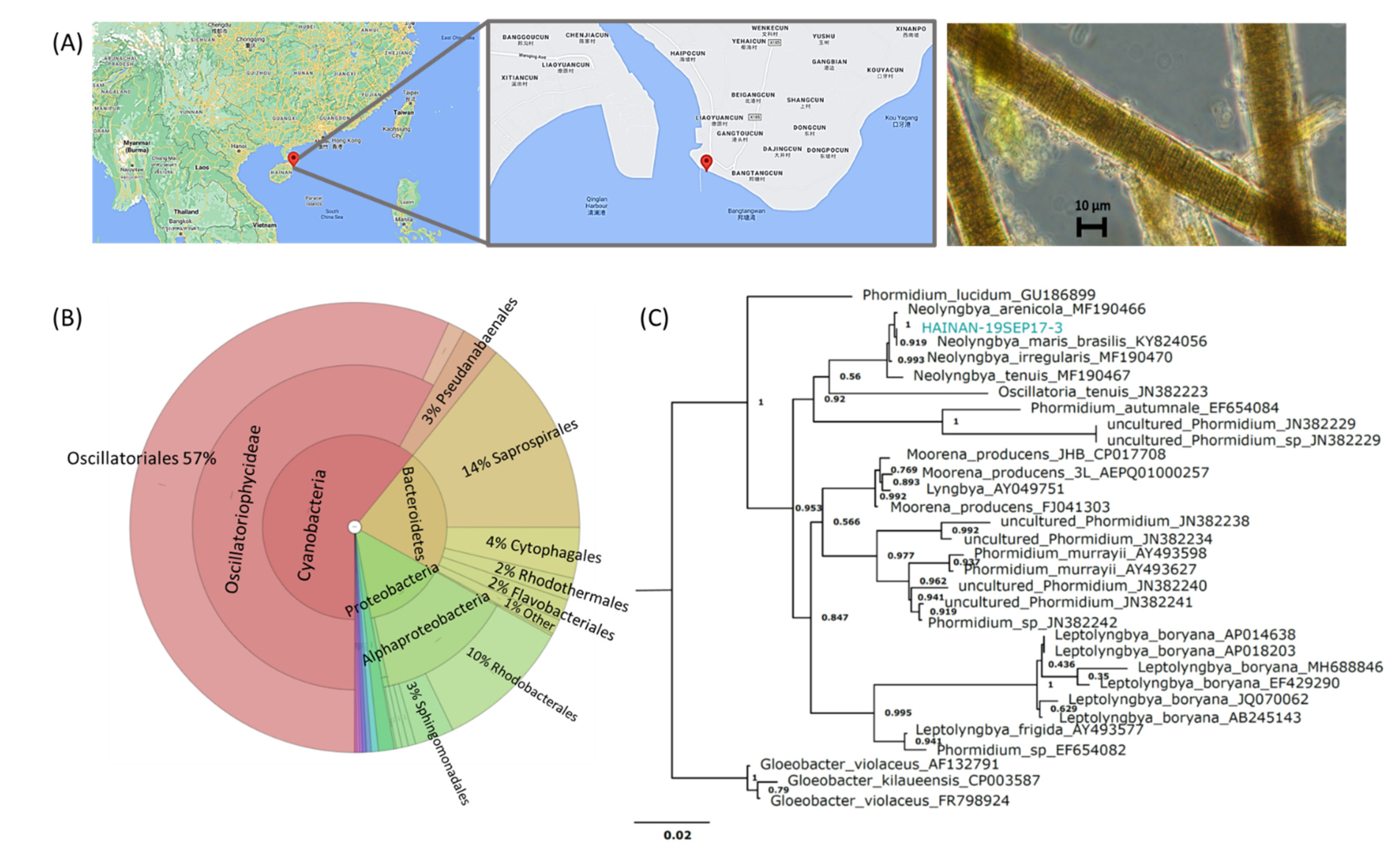 Marinedrugs 19 00397 g002