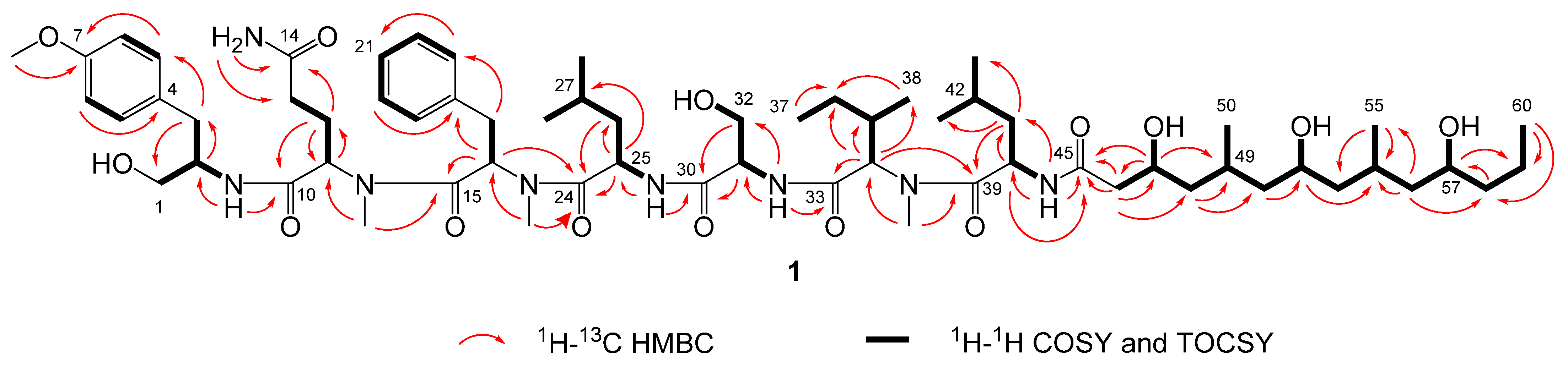 Marinedrugs 19 00397 g006