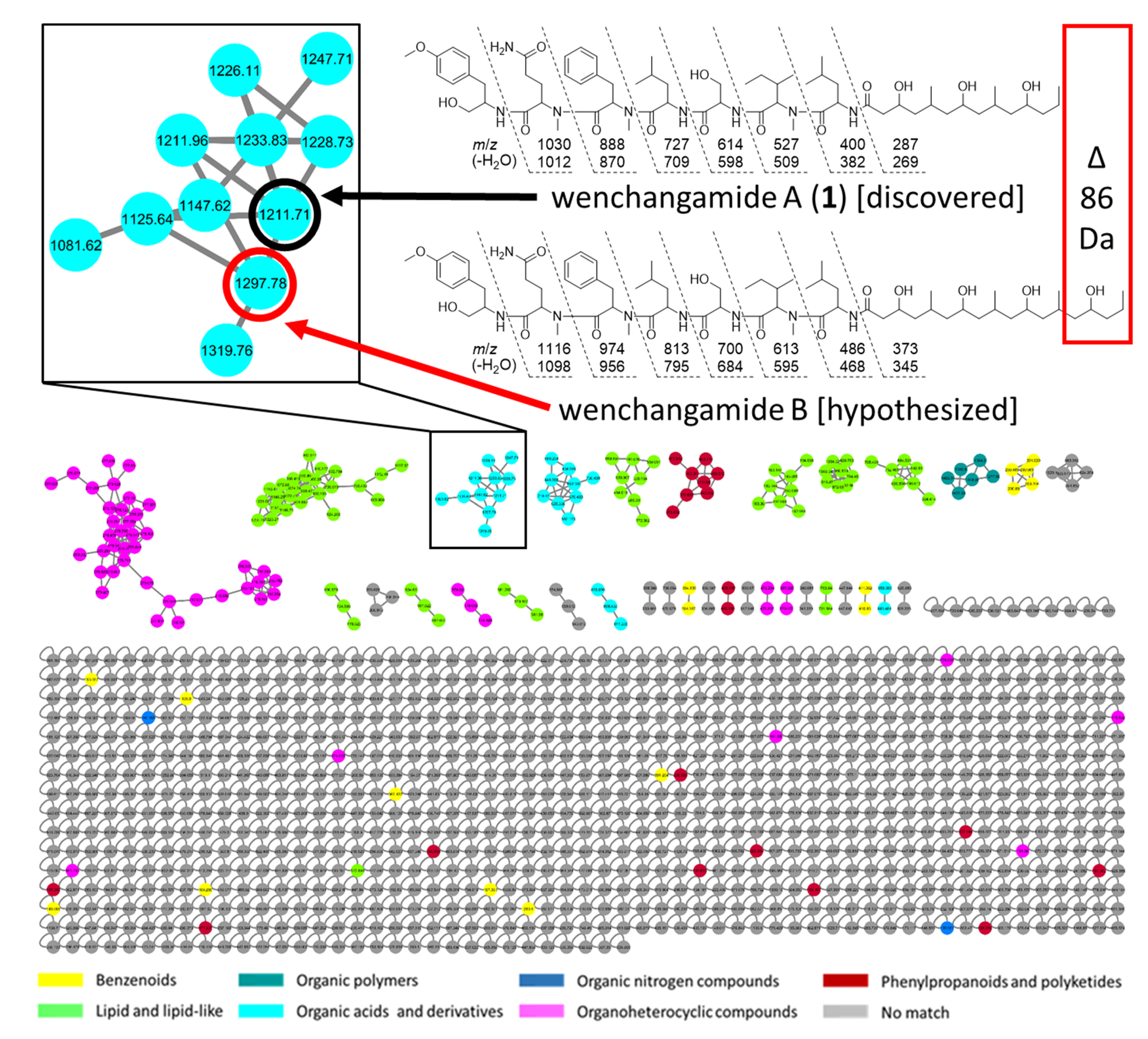 Marinedrugs 19 00397 g009