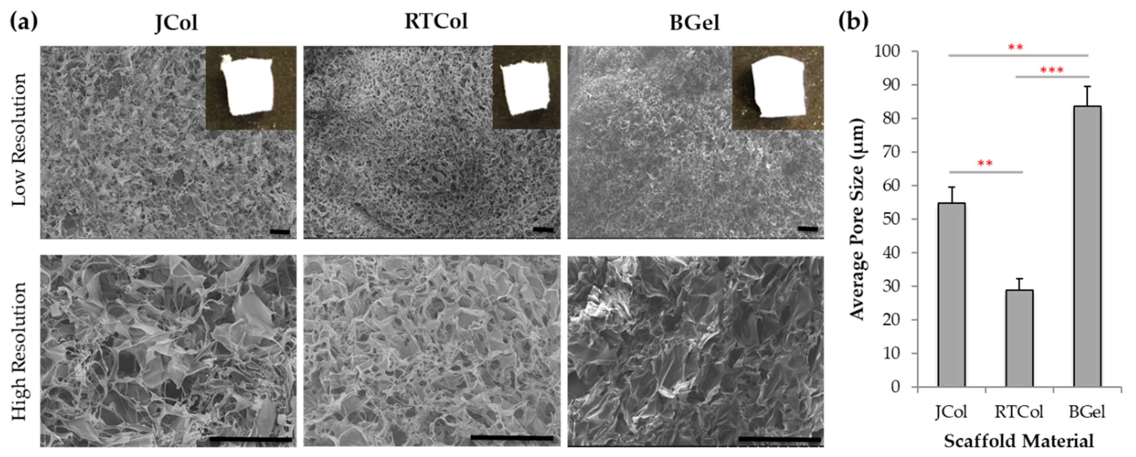 Marinedrugs 19 00405 g001