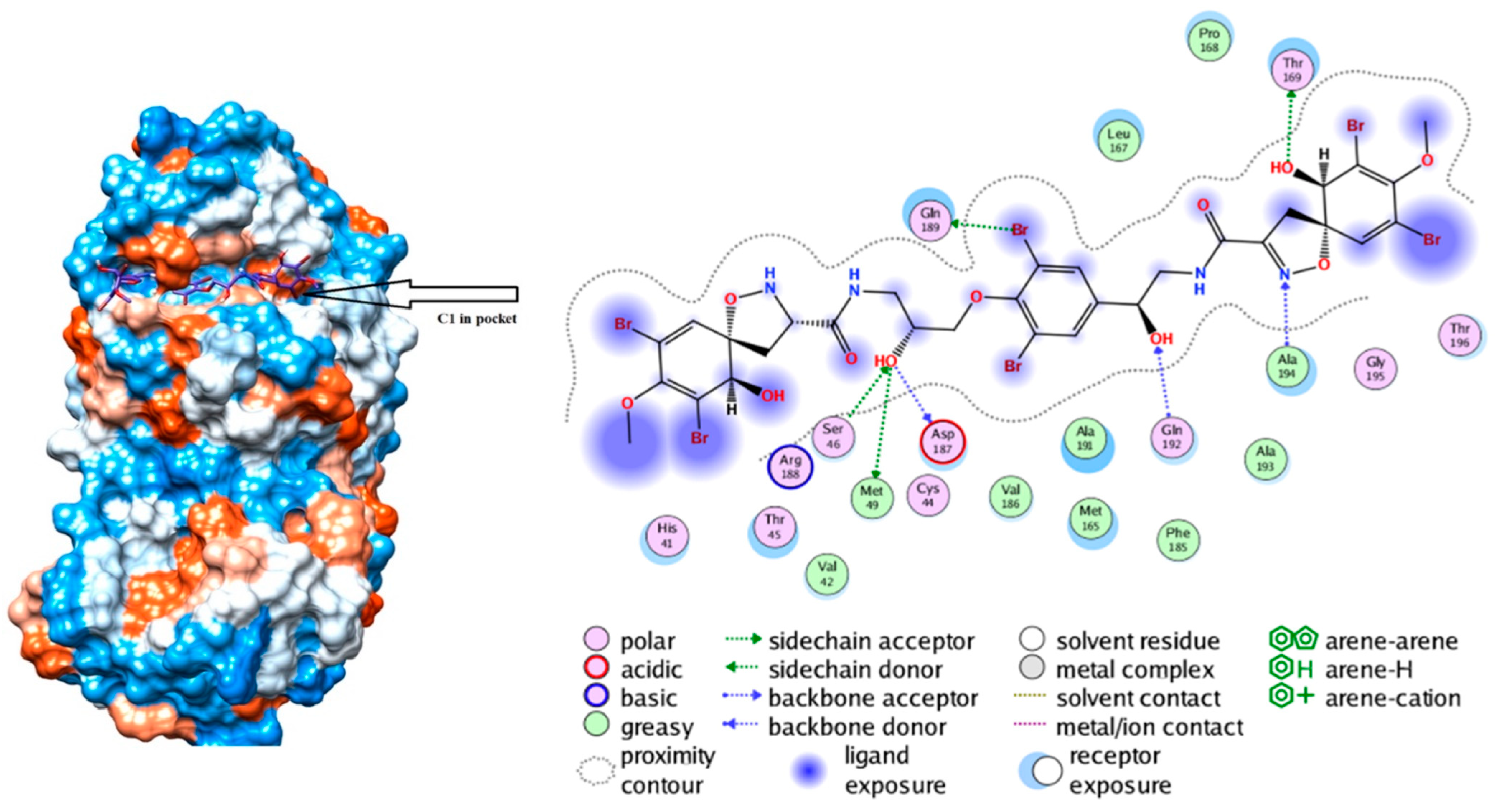 Marinedrugs 19 00409 g005
