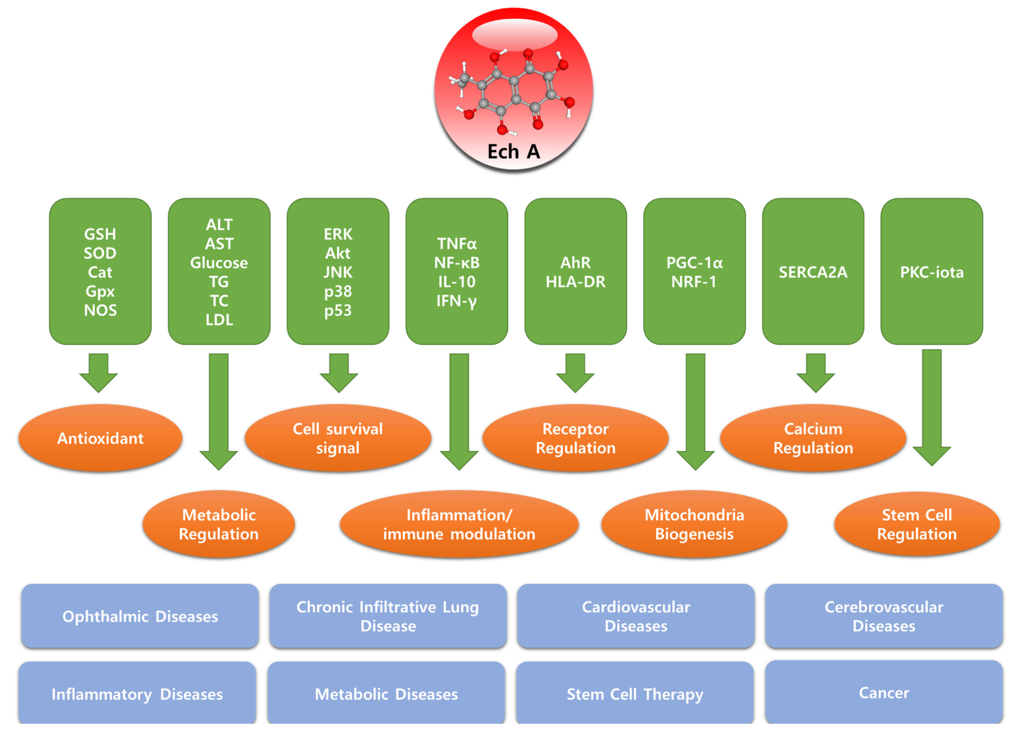 Marinedrugs 19 00412 g002