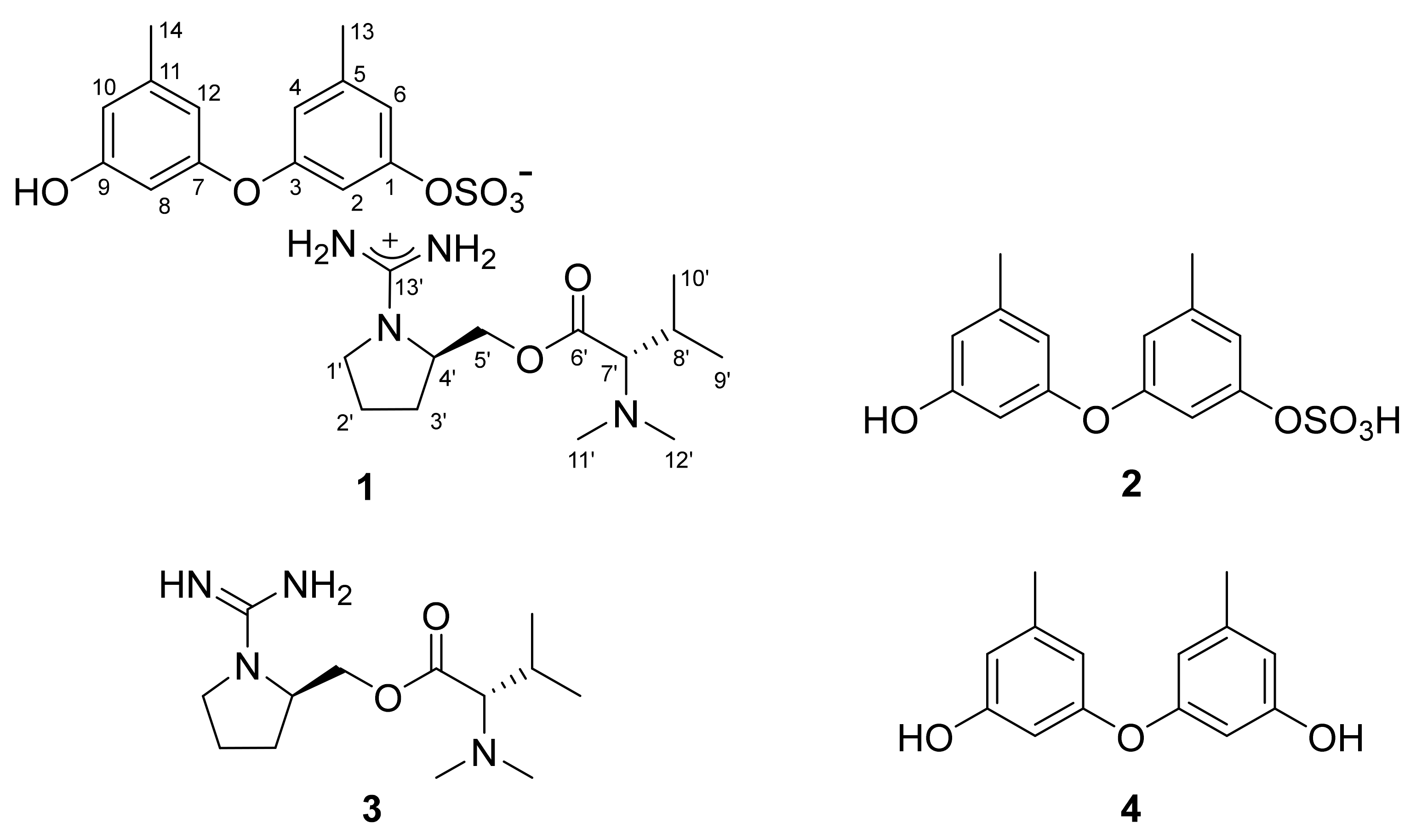 Marinedrugs 19 00413 g001