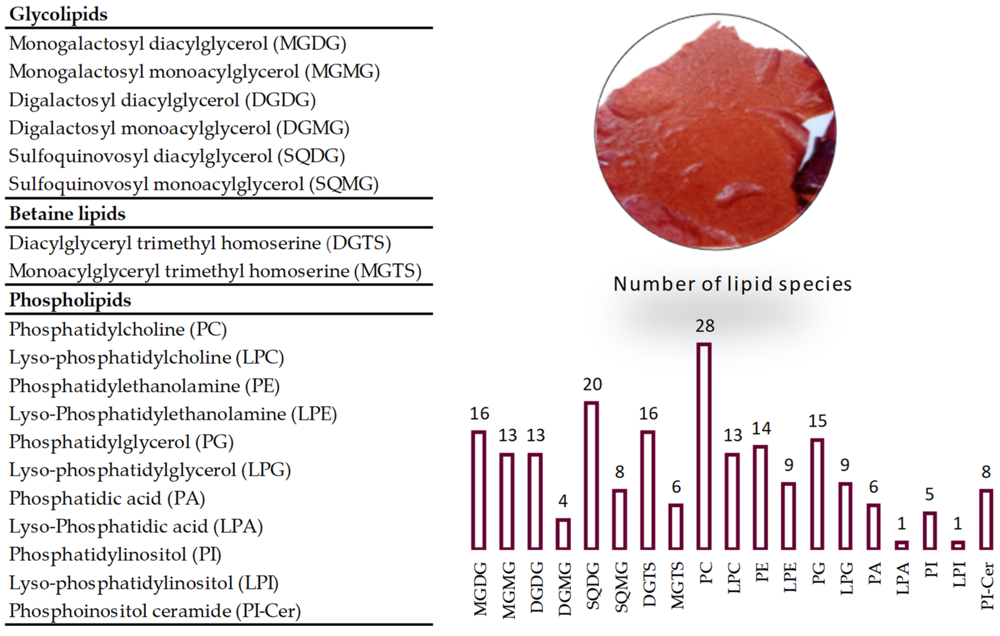 Marinedrugs 19 00414 g001 Marinedrugs 19 00414 g001