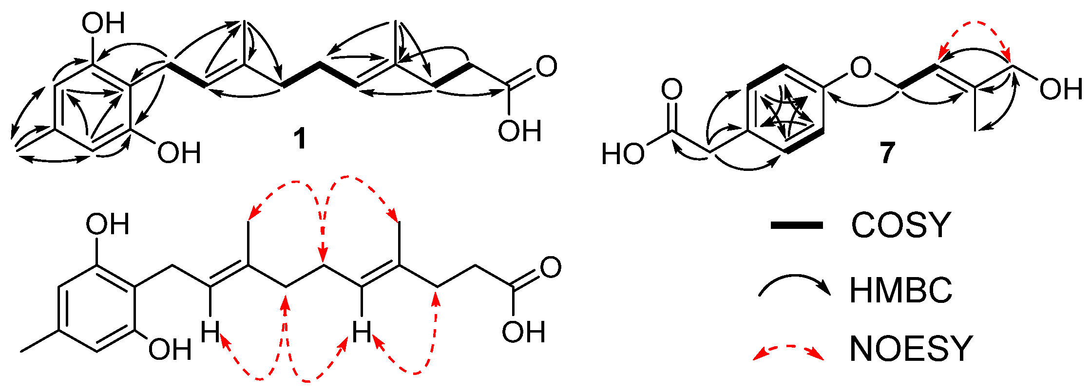 Marinedrugs 19 00415 g002