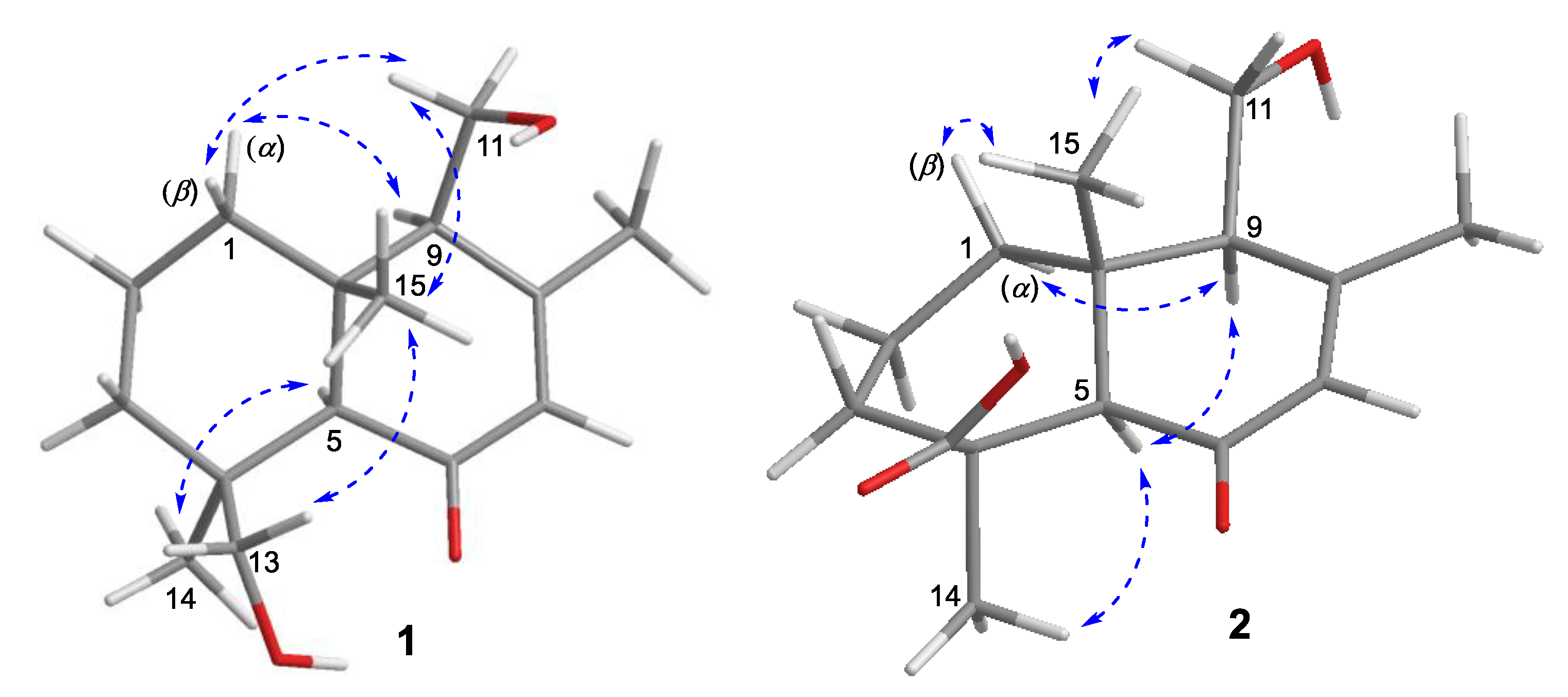 Marinedrugs 19 00416 g003