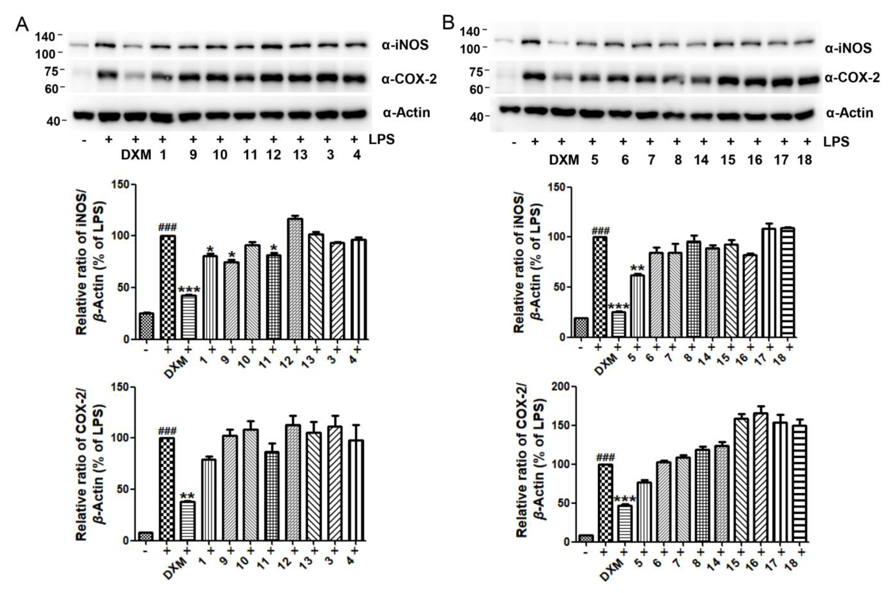 Marinedrugs 19 00416 g006
